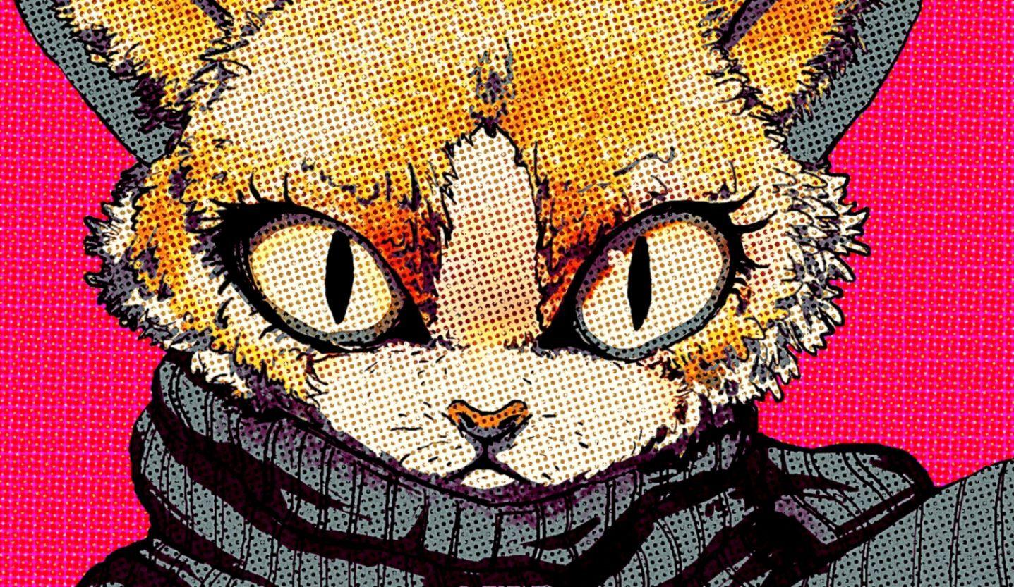 1437x833 Cat Art HD Wallpaper