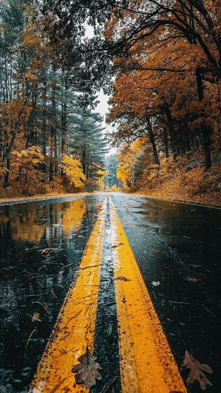 720x1280 Download Wet Road Wallpaper by DLJunkie now. Browse millions of popular autumn Wallpaper and. Nature photography, Nature picture, Scenery