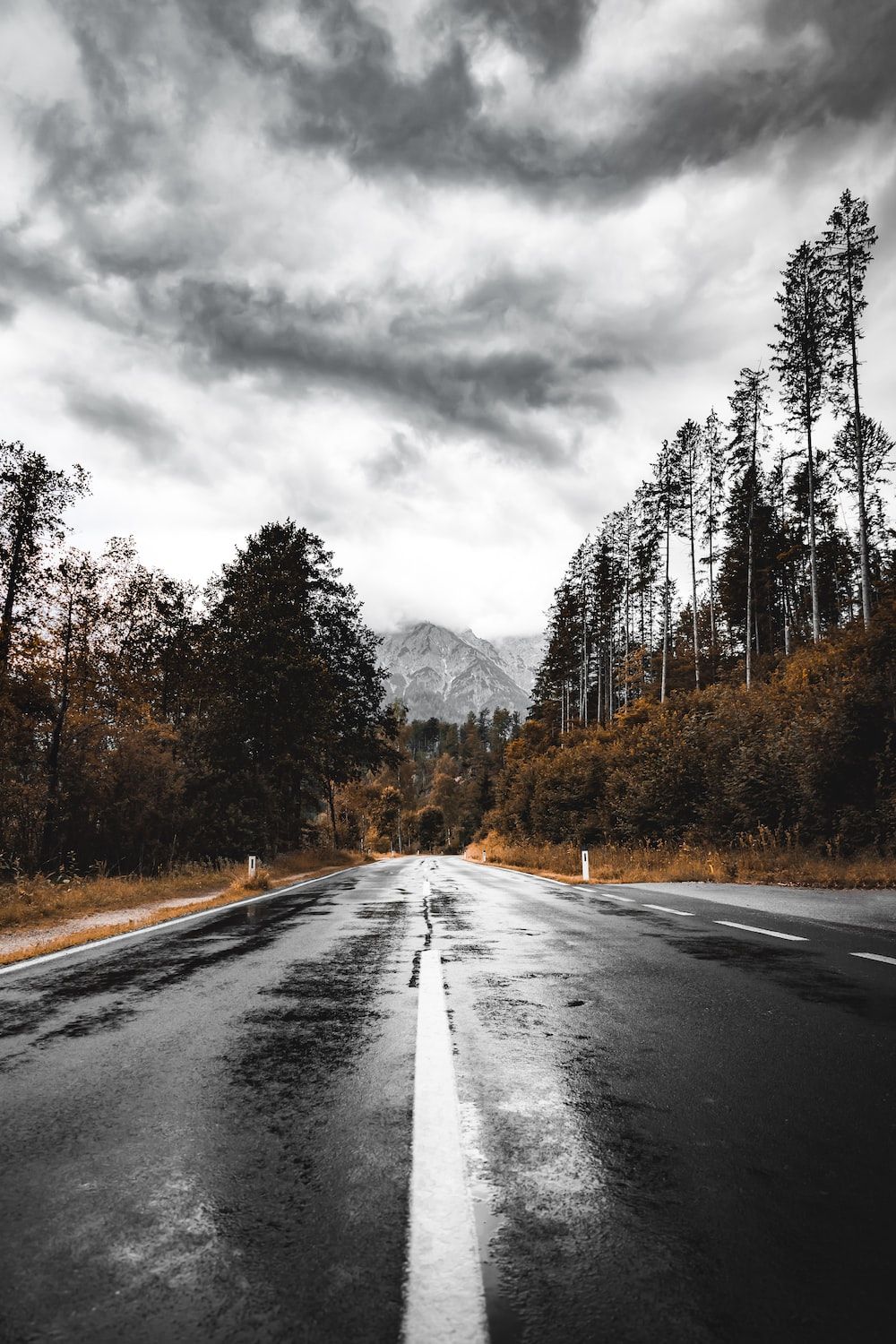 1000x1500 Wet Road Picture. Download Free Image
