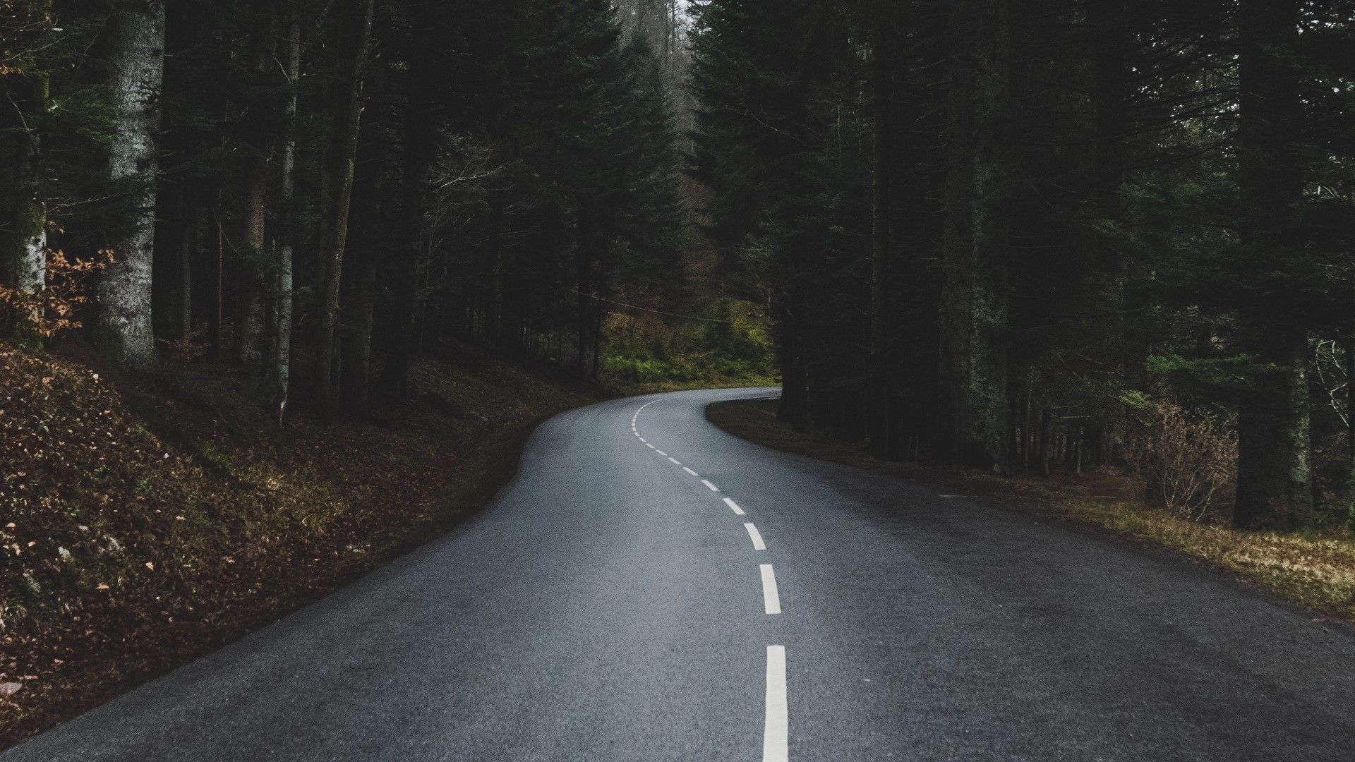 1920x1080 wet road 1080P, 2k, 4k Full HD Wallpaper, Background Free Download