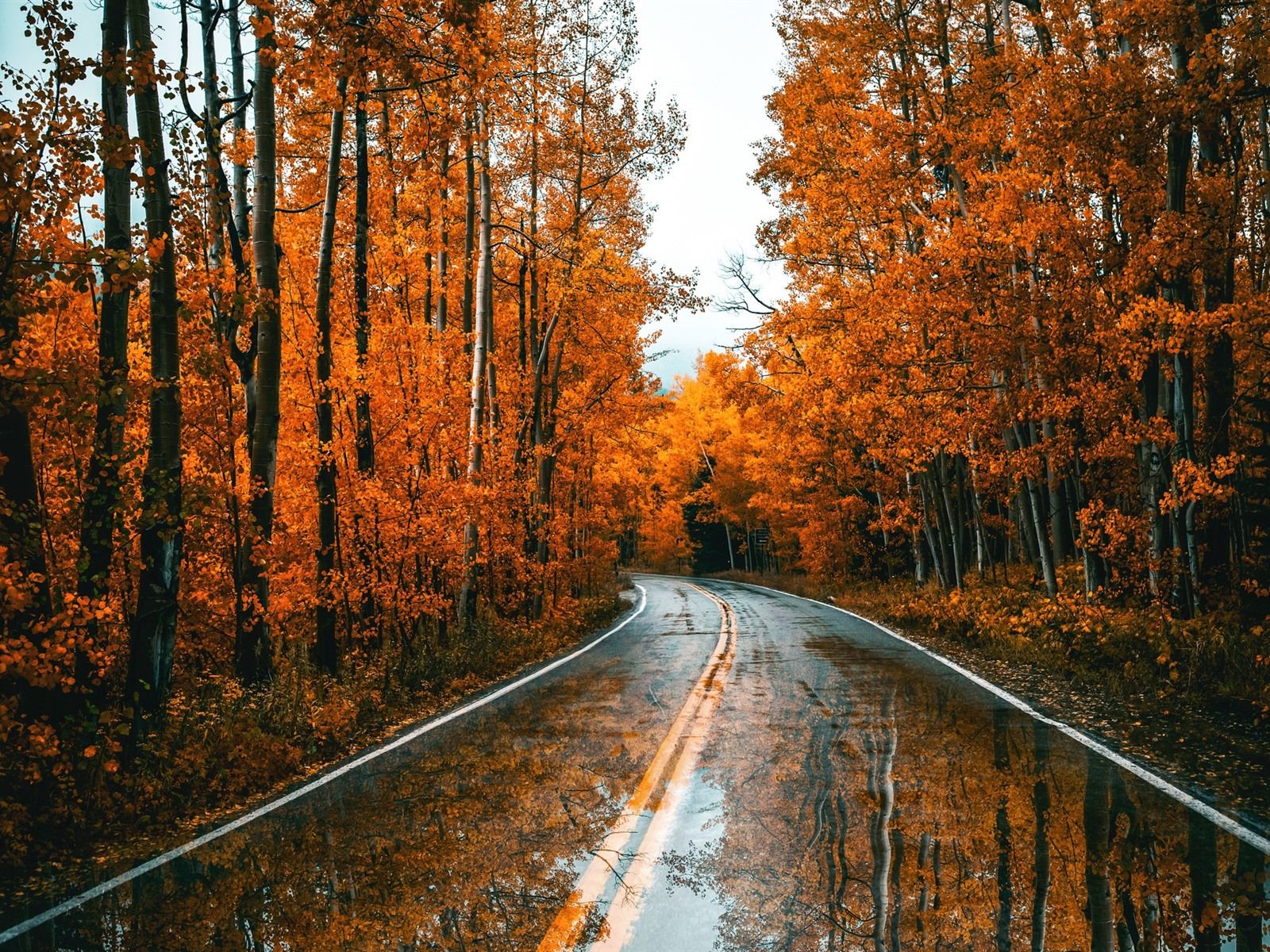 Wet Road Wallpapers - Top Free Wet Road Backgrounds - WallpaperAccess