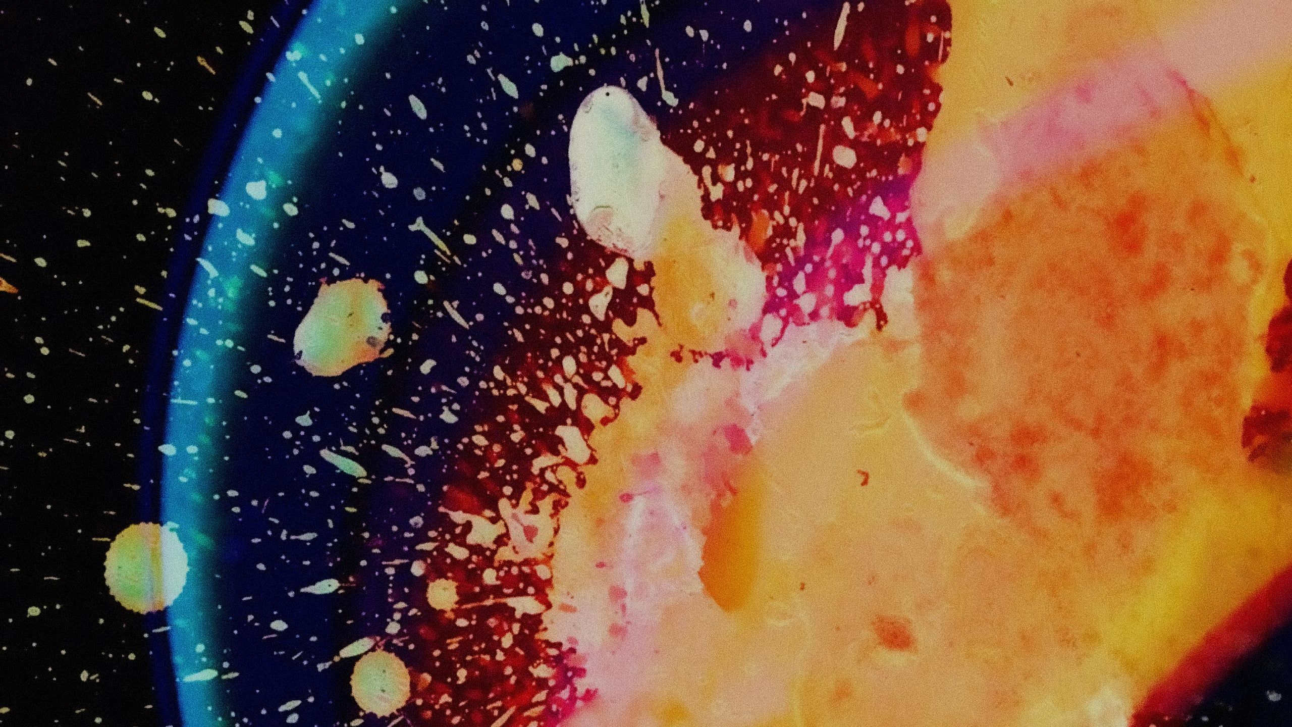 In rainbows wallpapers top free in rainbows backgrounds wallpaperaccess