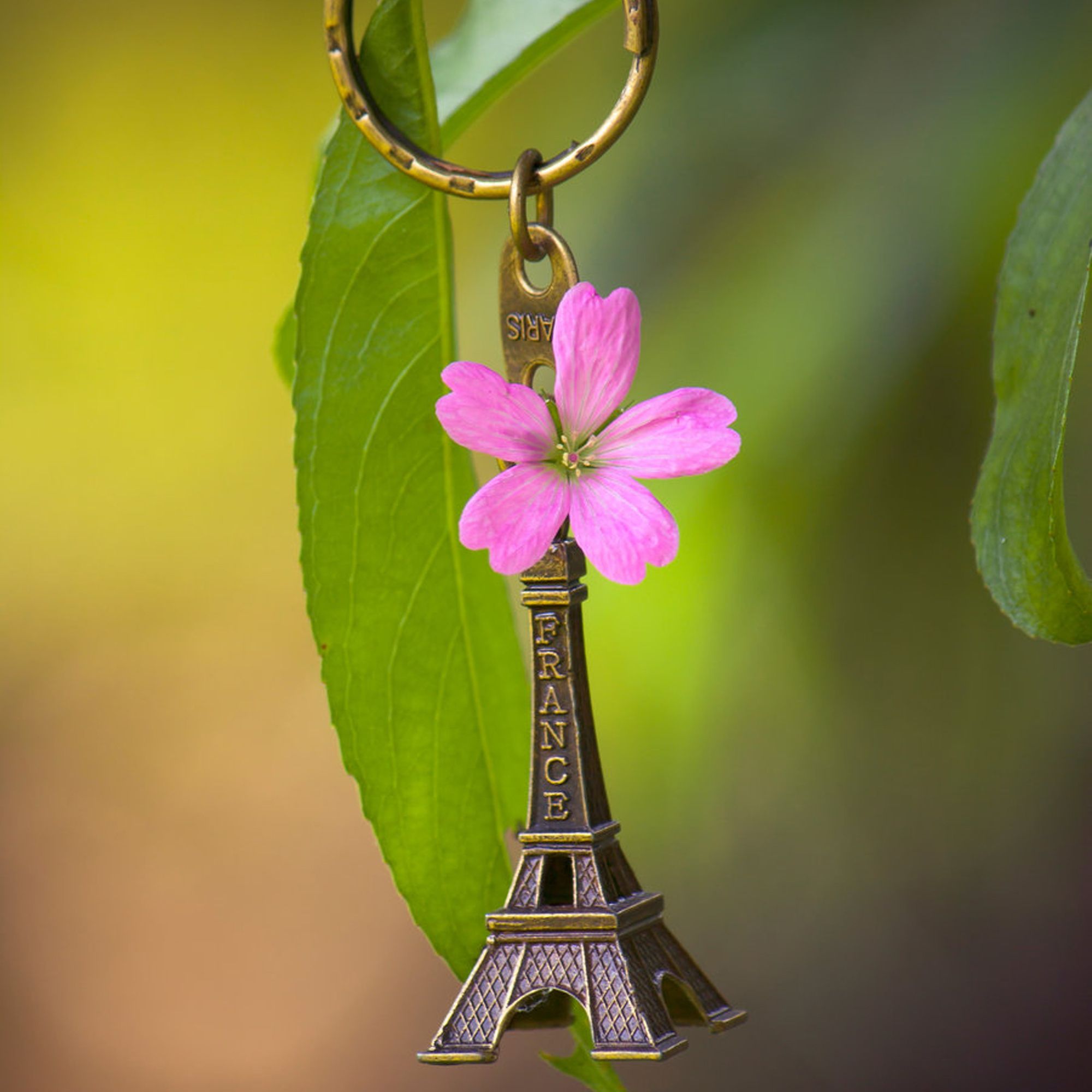 2000x2000 Wallpaper. Beautiful picture. photo. picture. Eiffel tower, keychain, souvenir, sheet, France