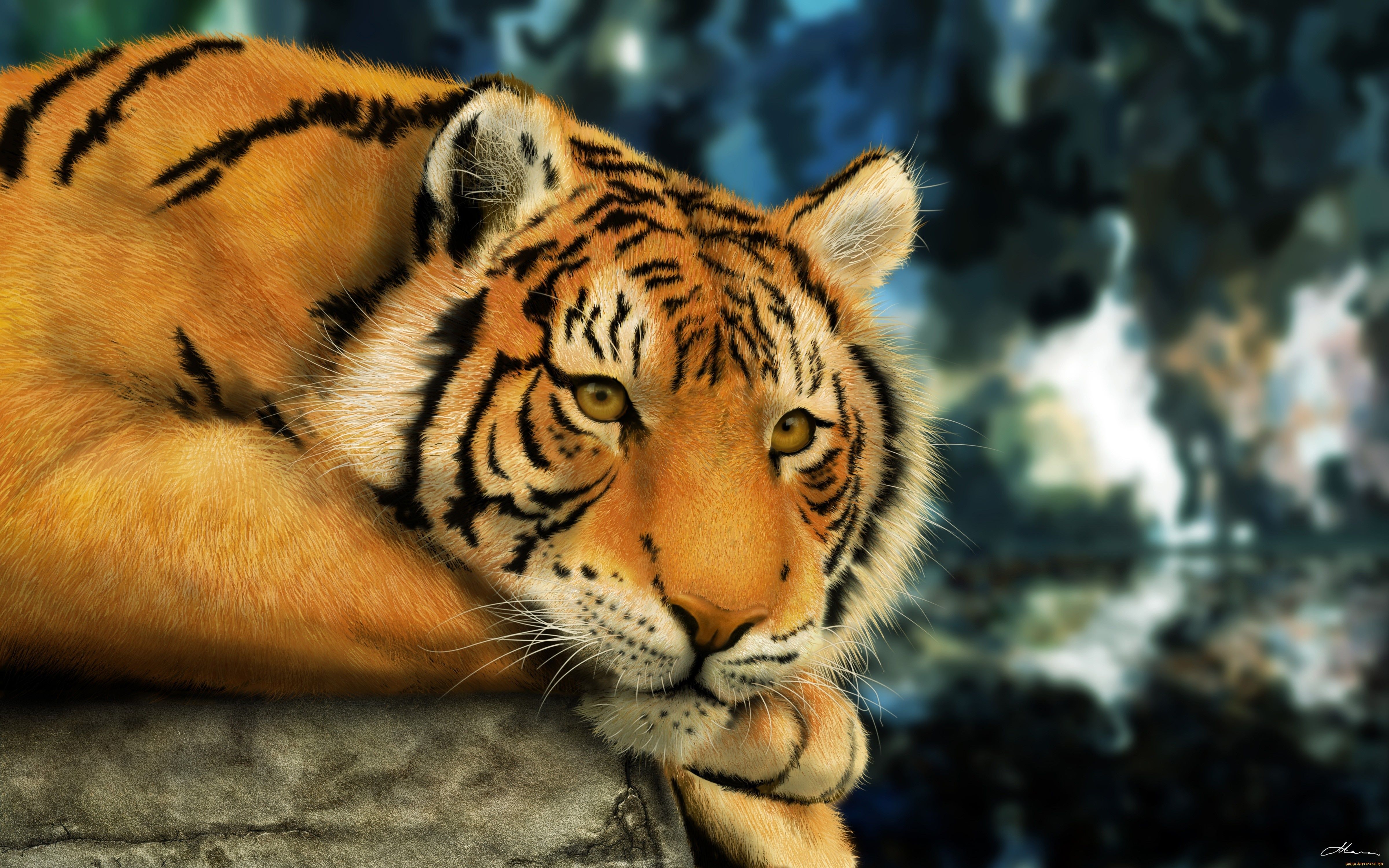 4800x3000 Wallpaper. Animals. photo. picture. tiger, drawing