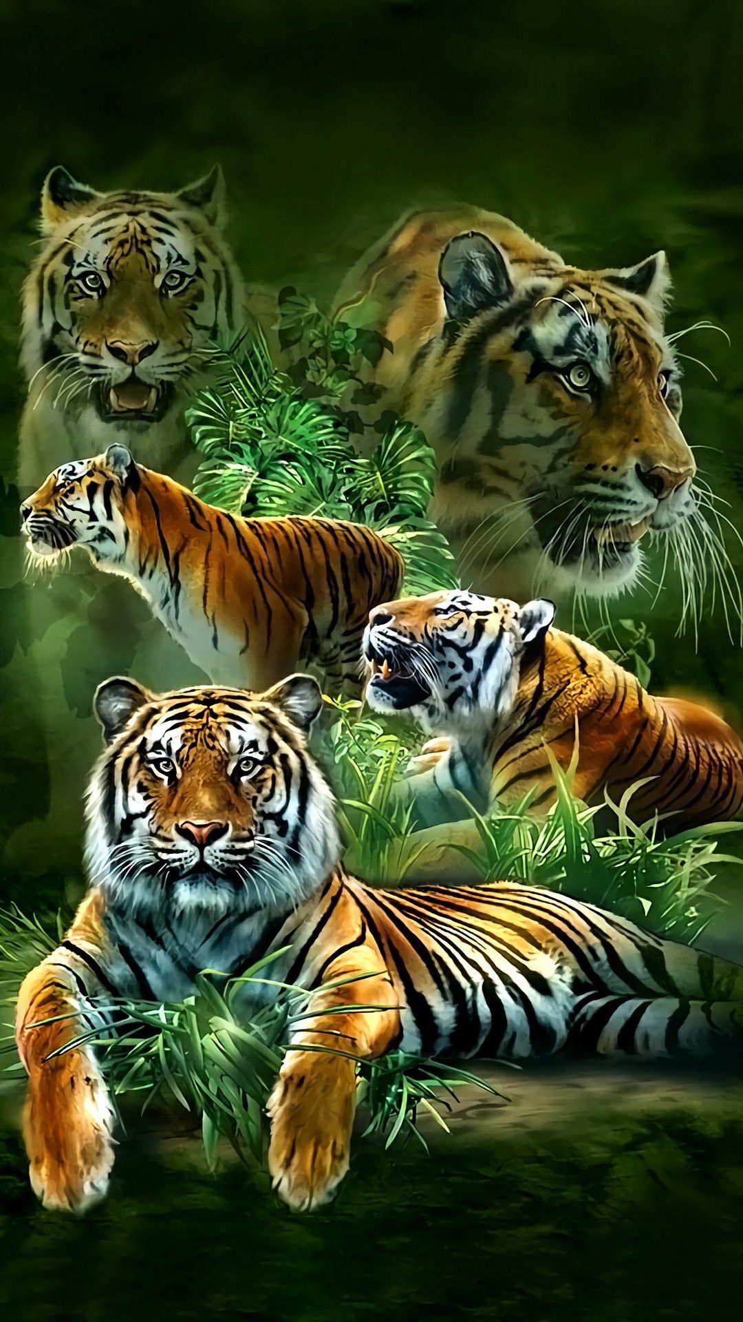 1080x1920 Royal bengal tiger Wallpaper Download