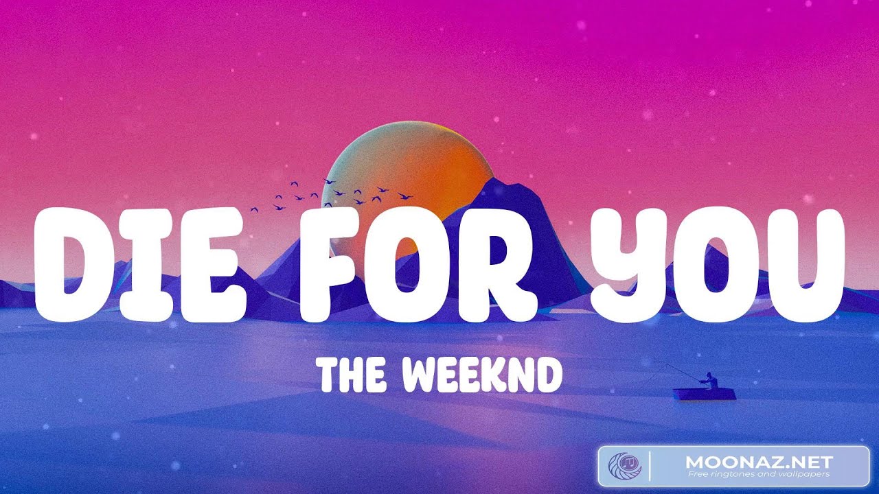 1280x720 The Weeknd For You (Lyrics) / Calm Down, Attention