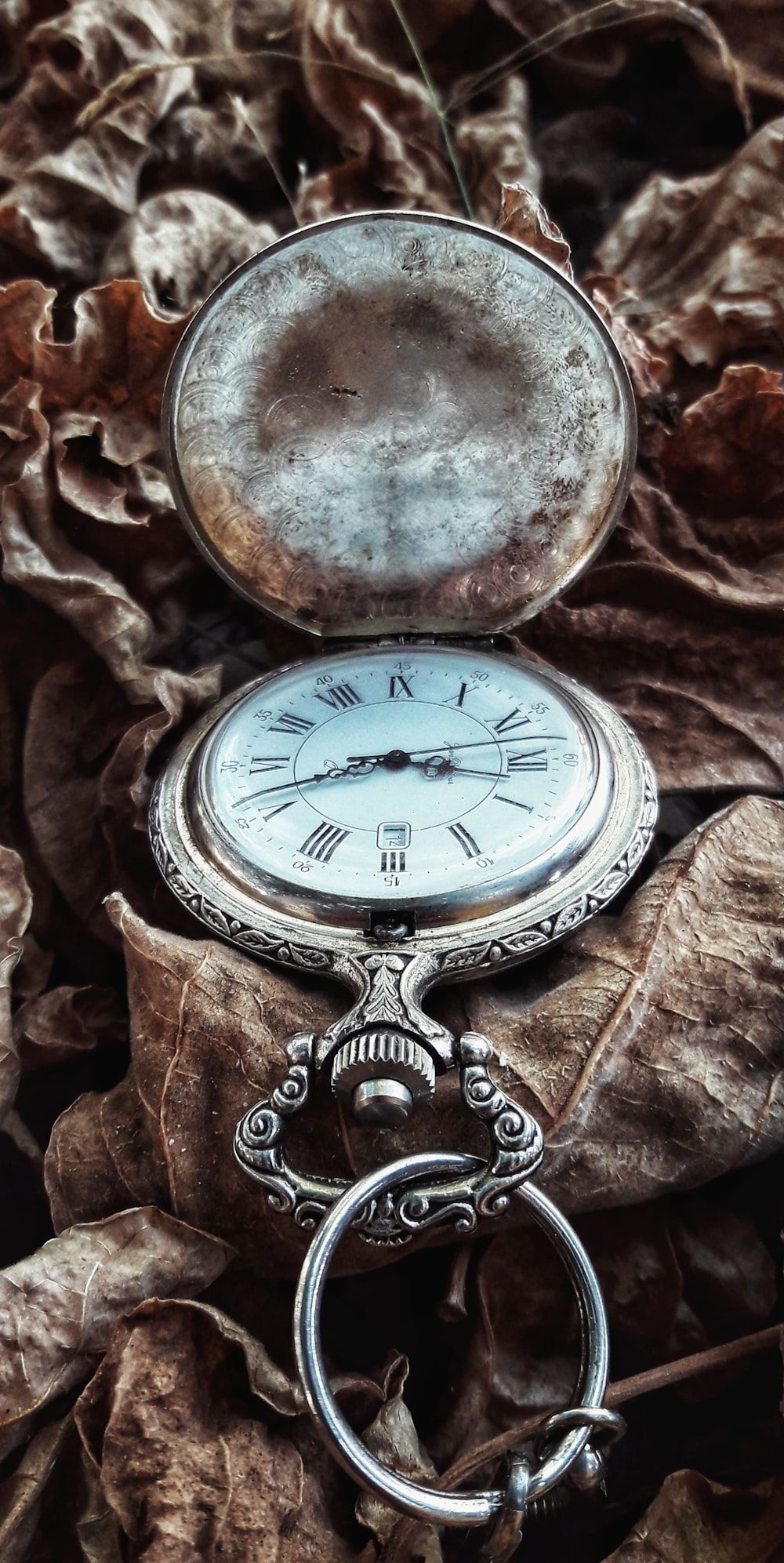 1000x1993 Pocket Watch Picture. Download Free Image