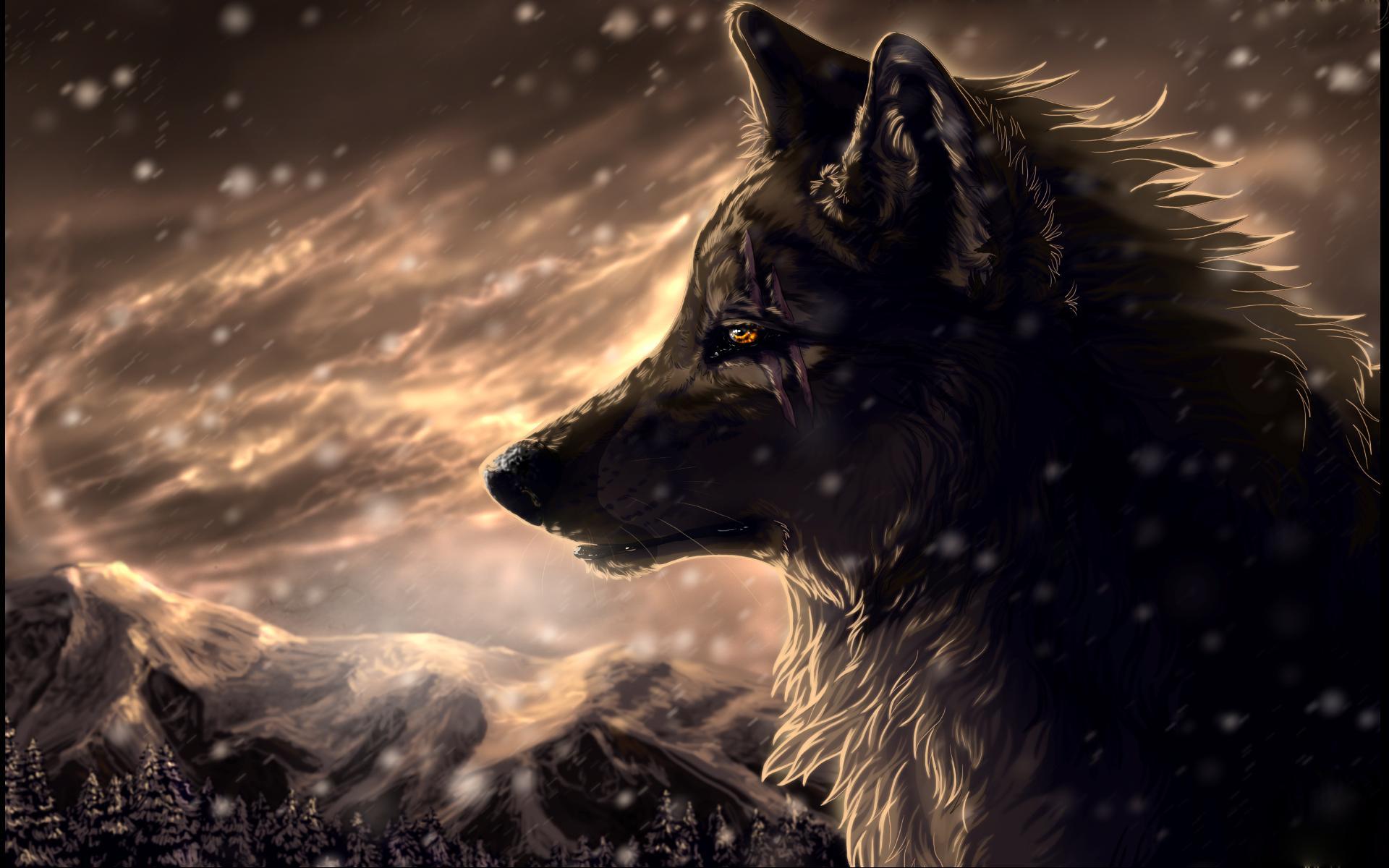 1920x1200 Lone wolf Wallpaper