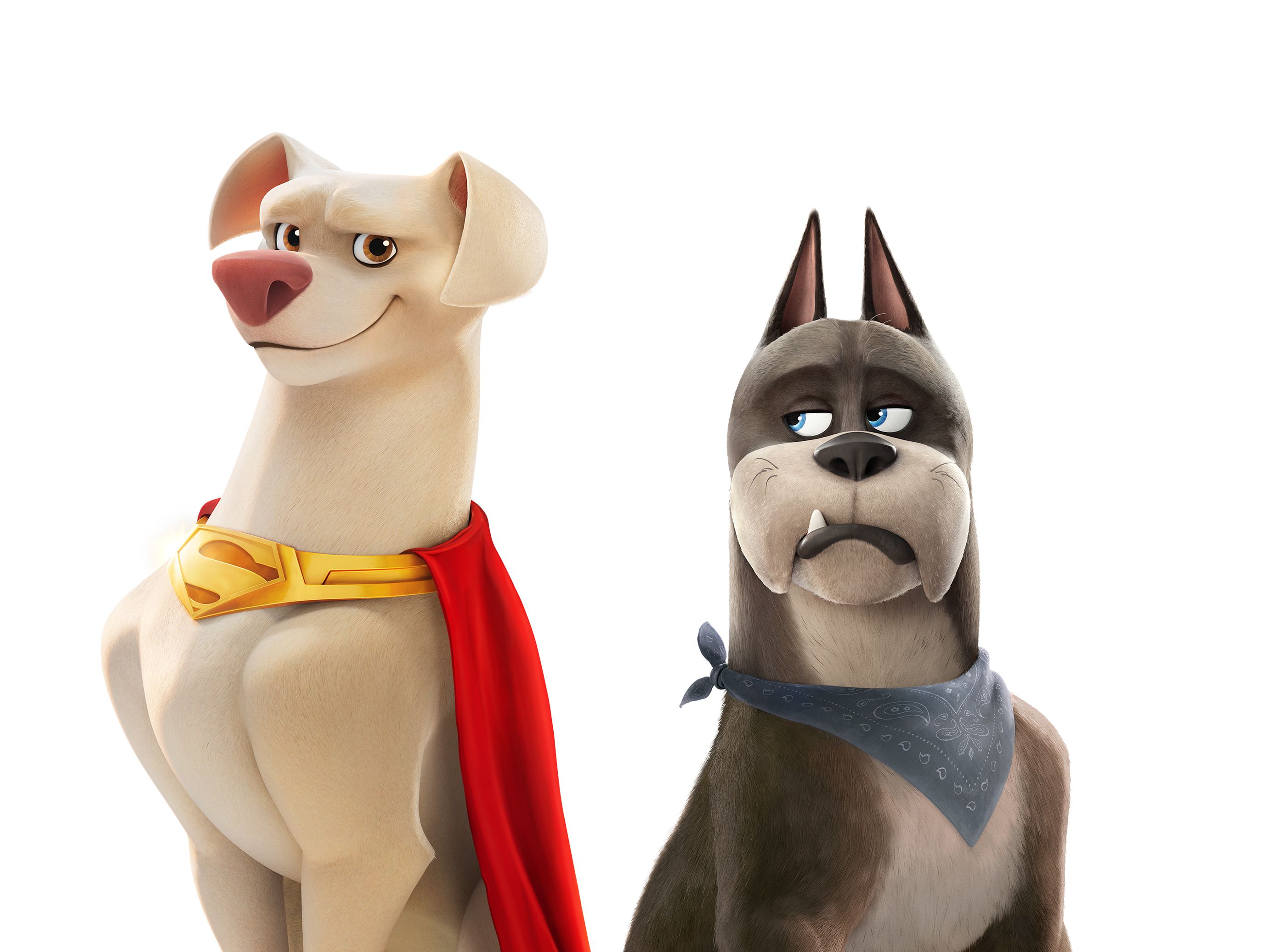 2764x2073 DC League Of Super Pets HD Wallpaper And Background
