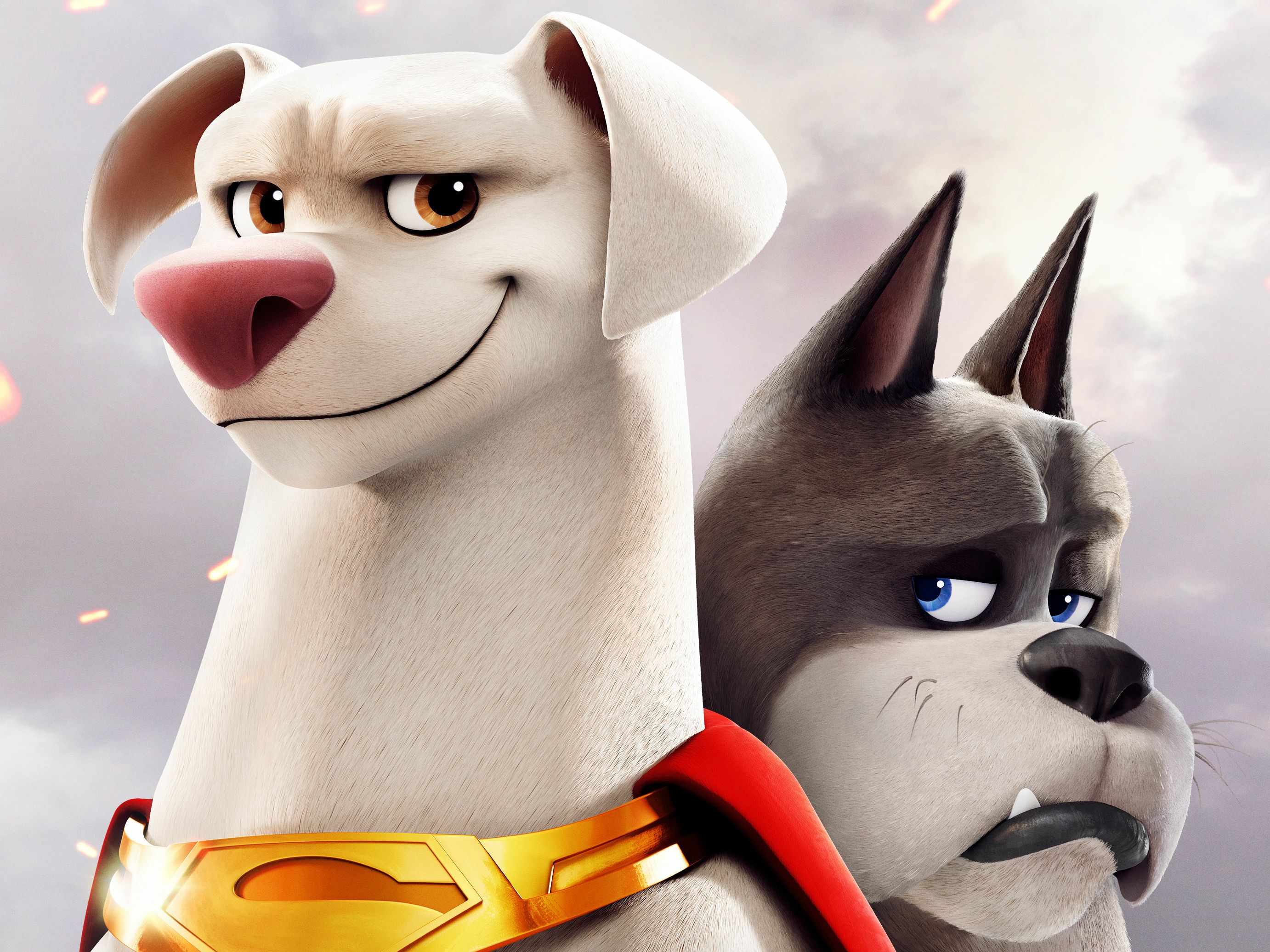 2764x2073 DC League Of Super Pets HD Wallpaper And Background