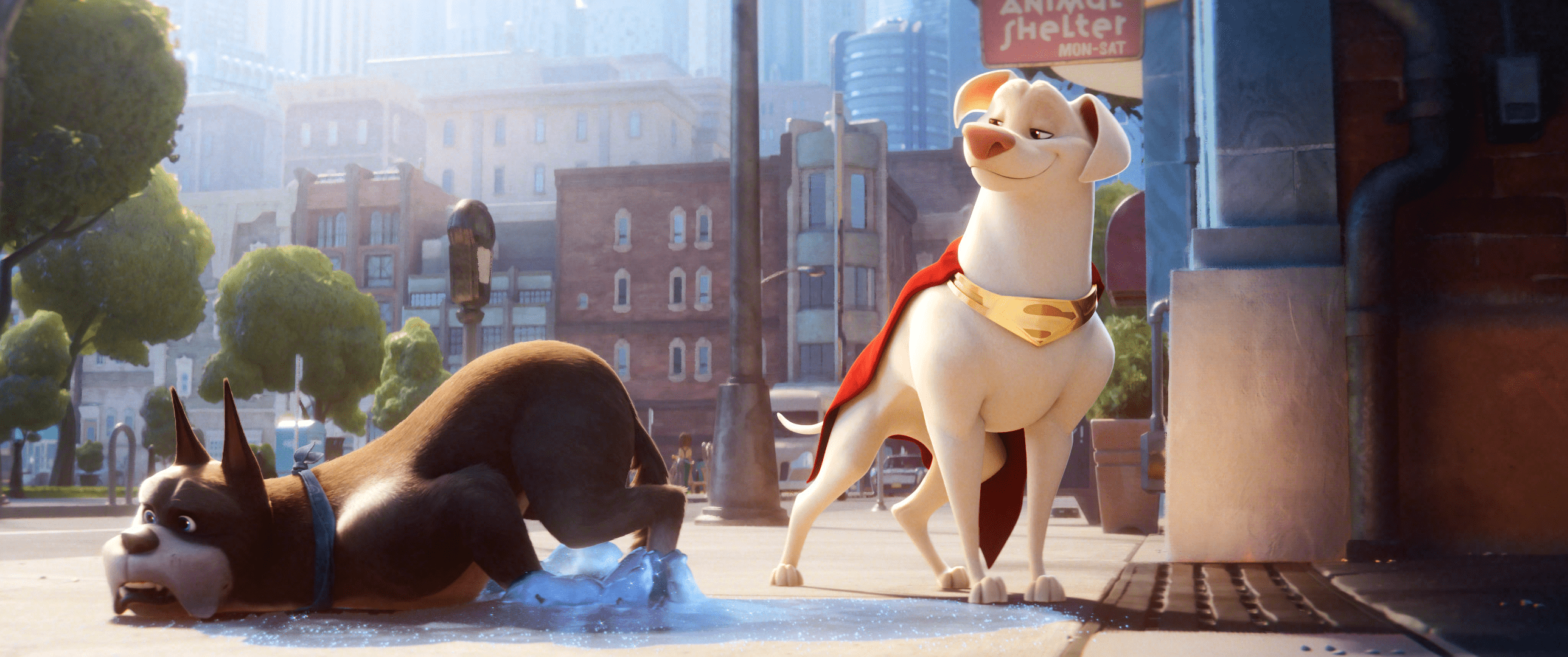 2577x1080 DC League Of Super Pets HD Wallpaper And Background