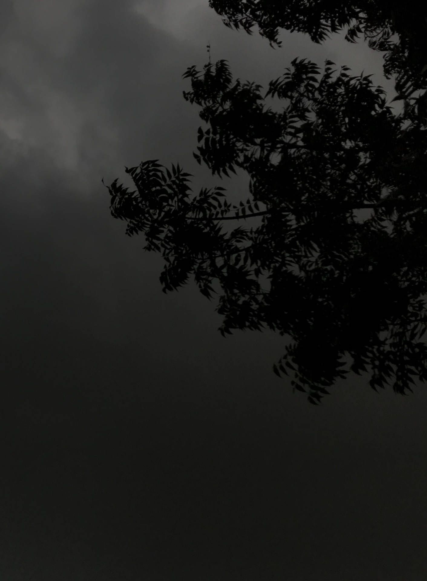 1411x1920 Dark Theme Wallpaper
