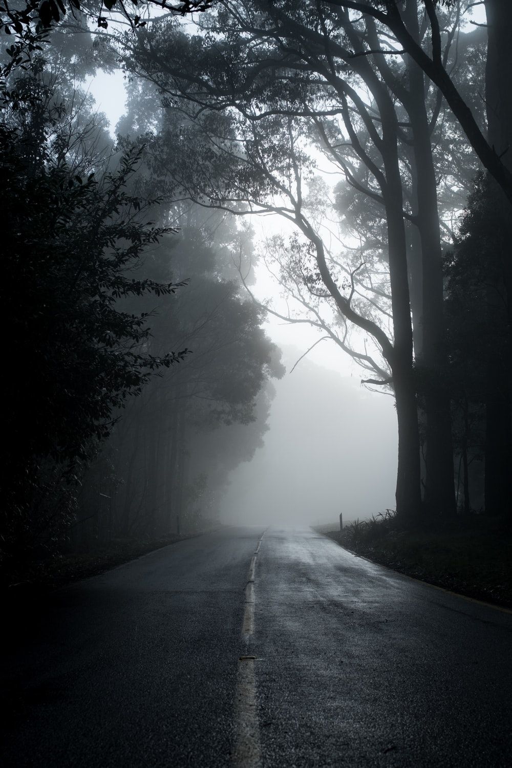 1000x1500 Dark Road With Fog Wallpaper