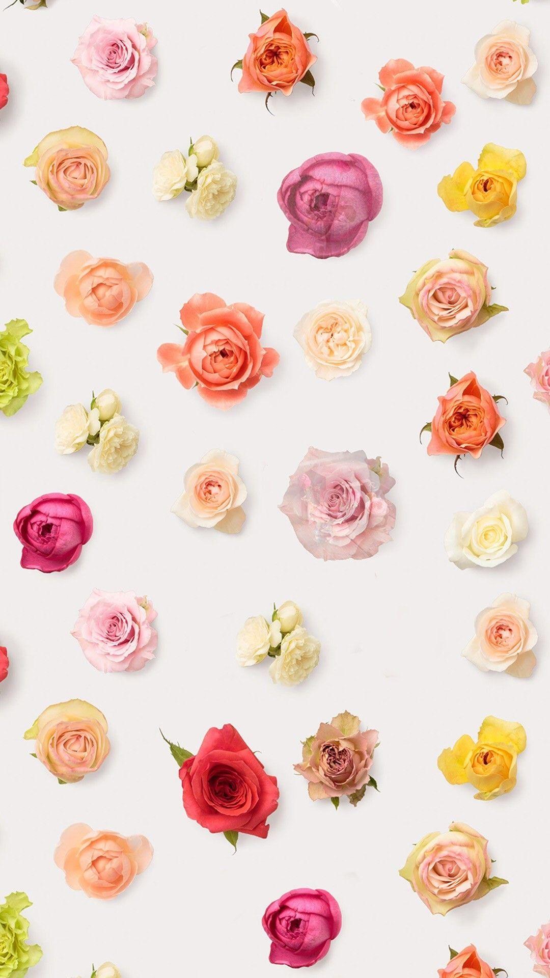 1080x1920 Flower Wallpaper iPhone