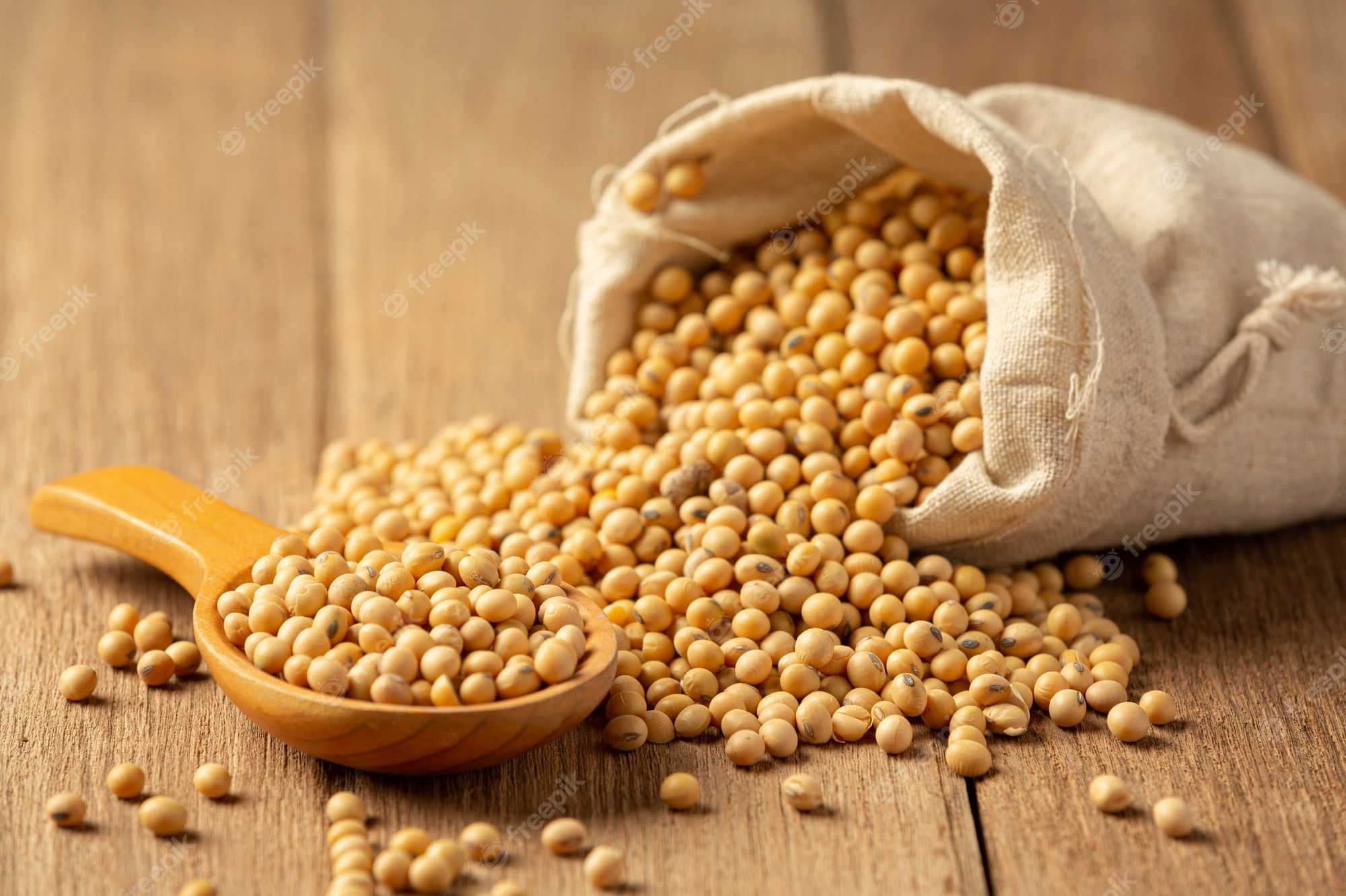 2000x1333 Soybean Image