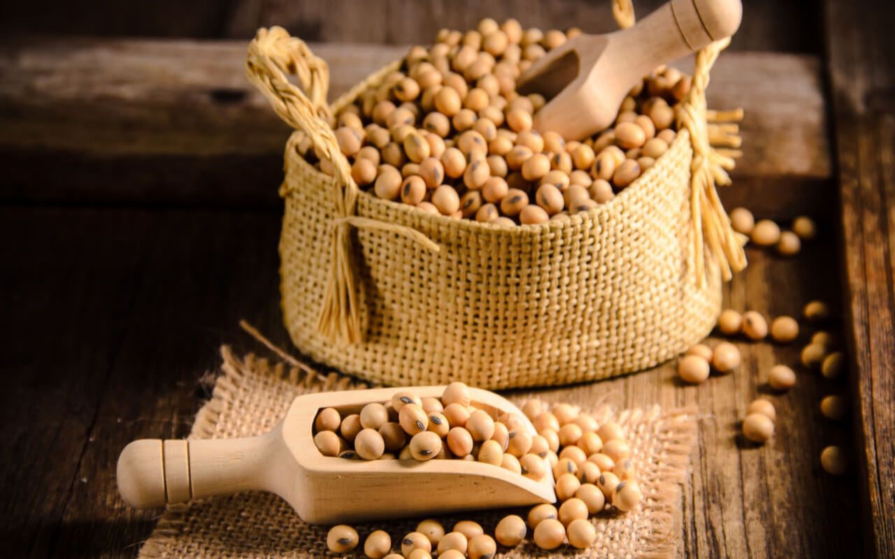 1280x800 Soybean, Nutrition Value & Recipes