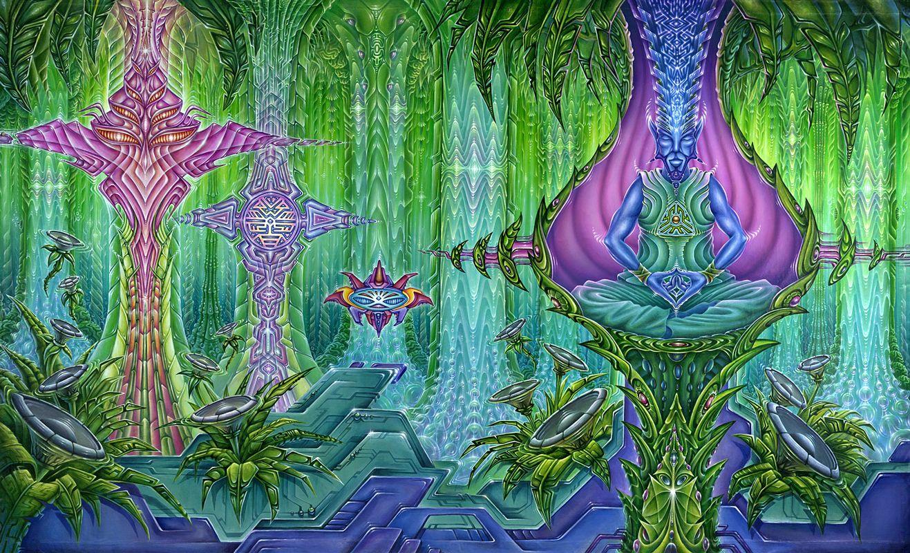 1317x800 trololo blogg: Dmt Live Wallpaper