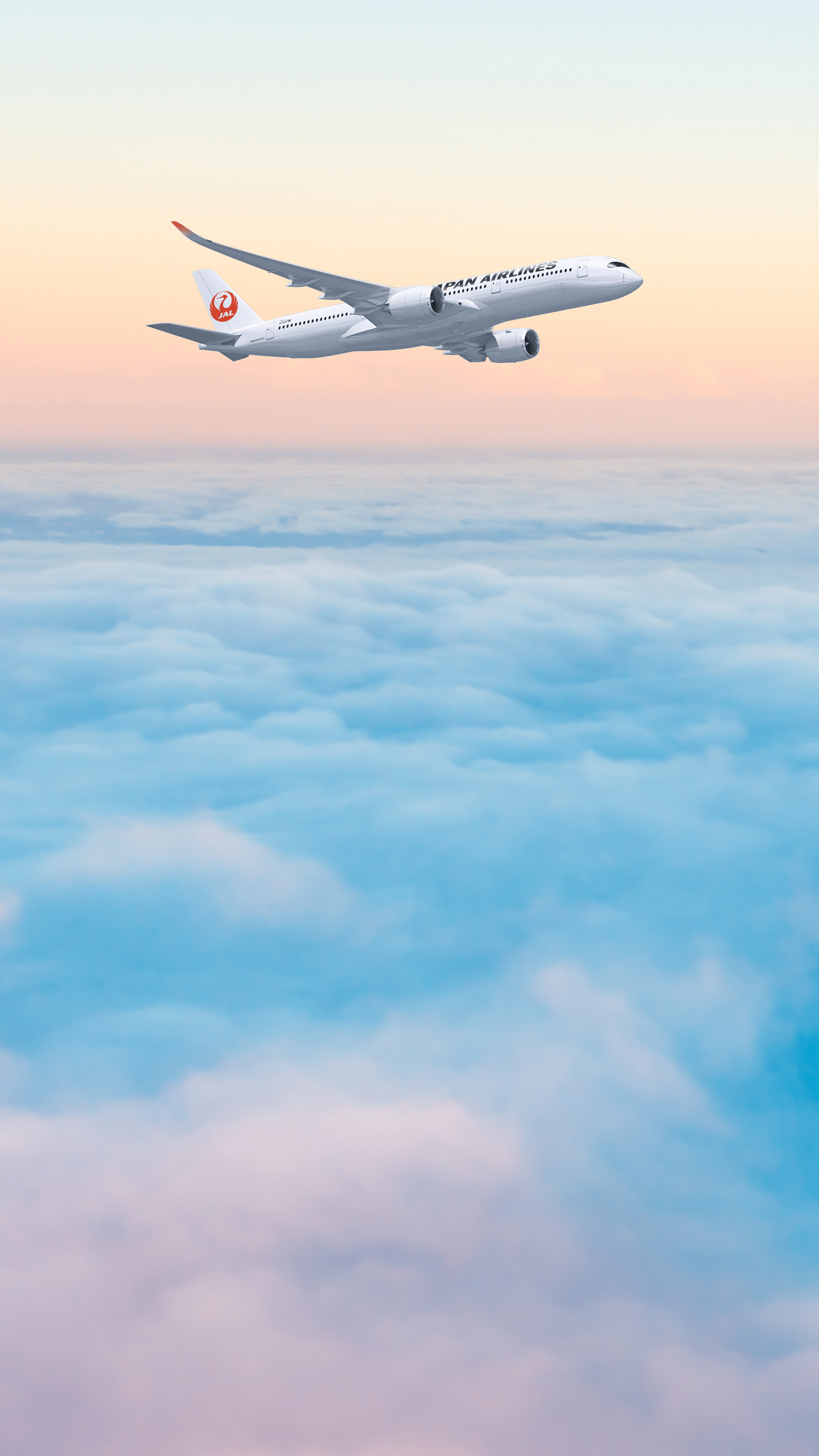 3240x5760 JAL Flight Offsetting