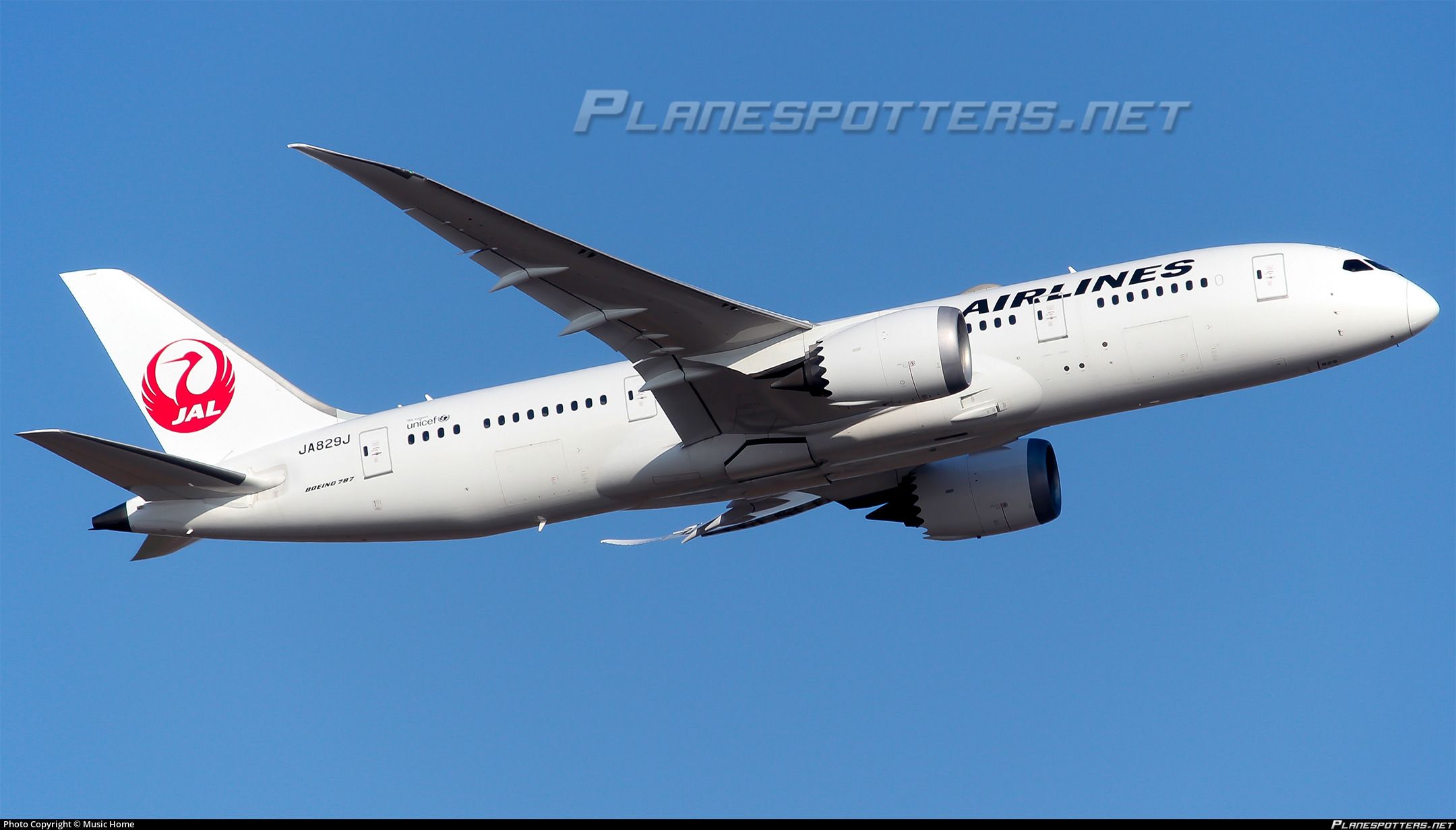 2160x1231 JA829J Japan Airlines Boeing 787 8 Dreamliner Photo By Music Home