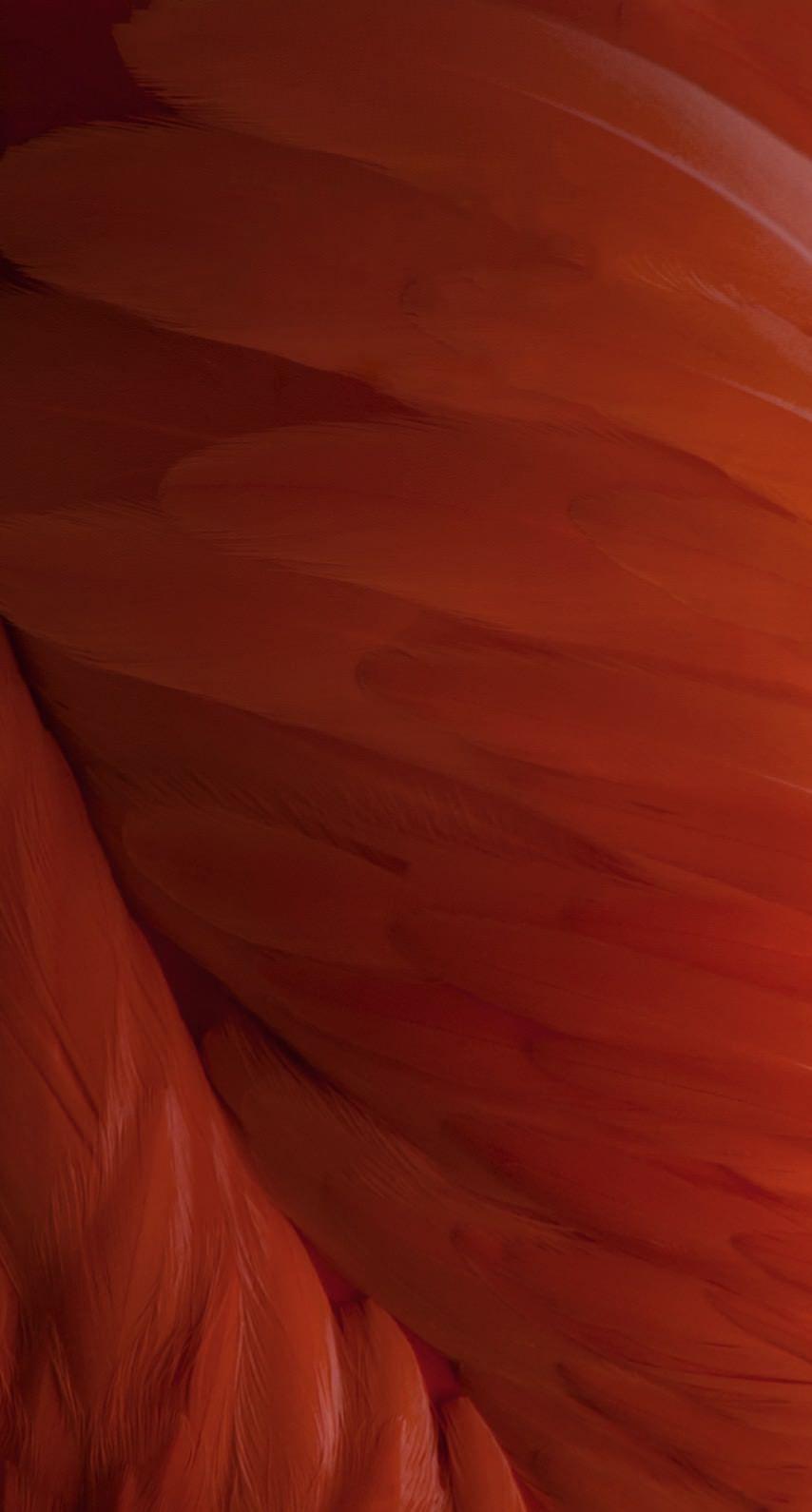 854x1590 Red crimson cool iOS9. wallpaper.sc iPhone6s