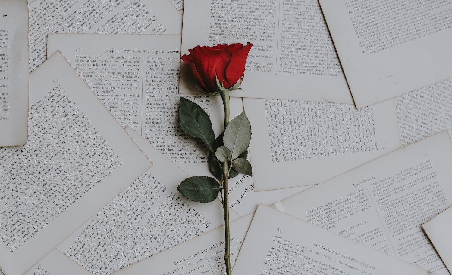 1500x915 Instructions on Loving an INFJ Personality. Introvert, Dear