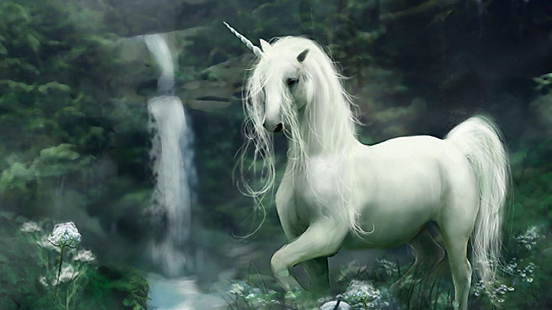 1920x1080 Unicorn Wallpaper HD