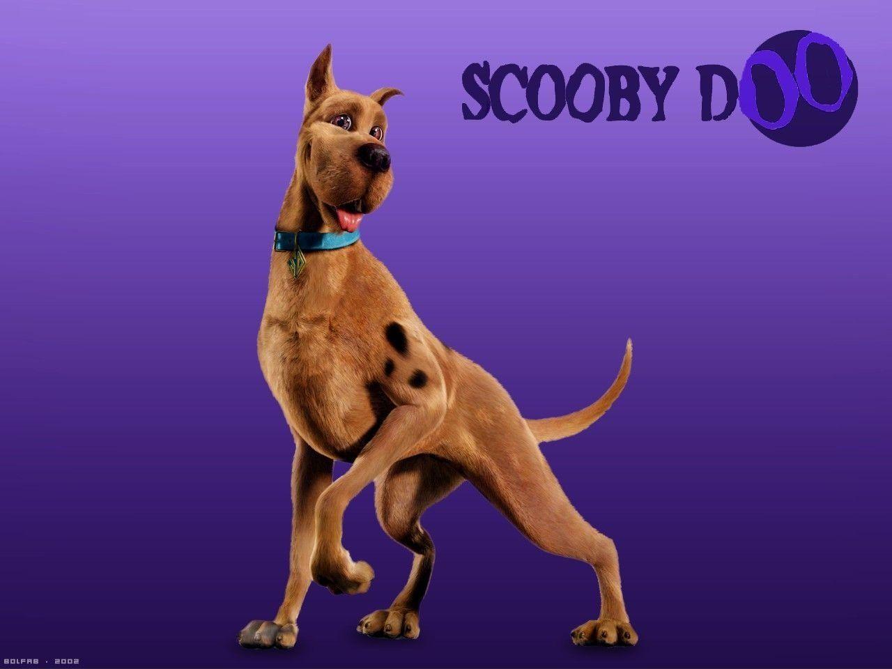 1280x960 Scooby Doo Movie 4k Desktop Wallpaper