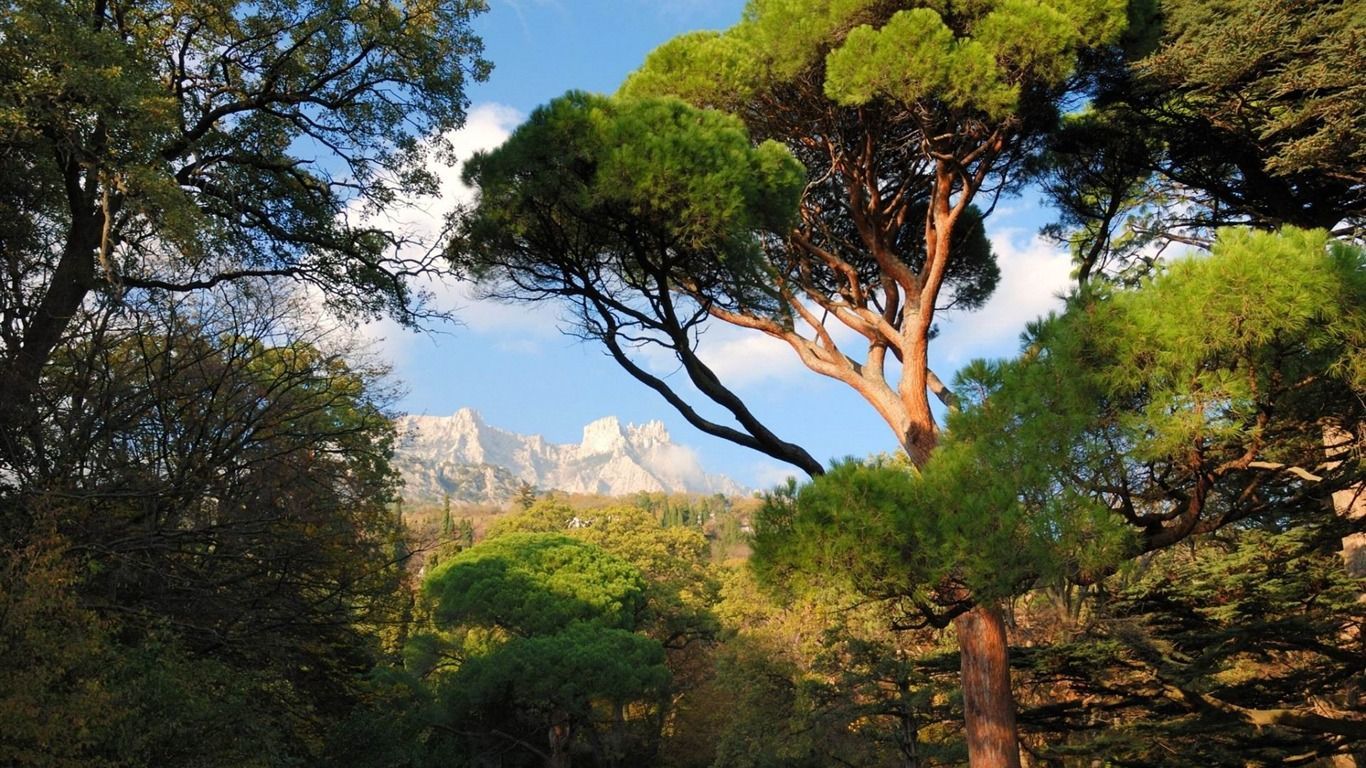 1366x768 Crimea Mishor Ukraine Scenery HD Wallpaper