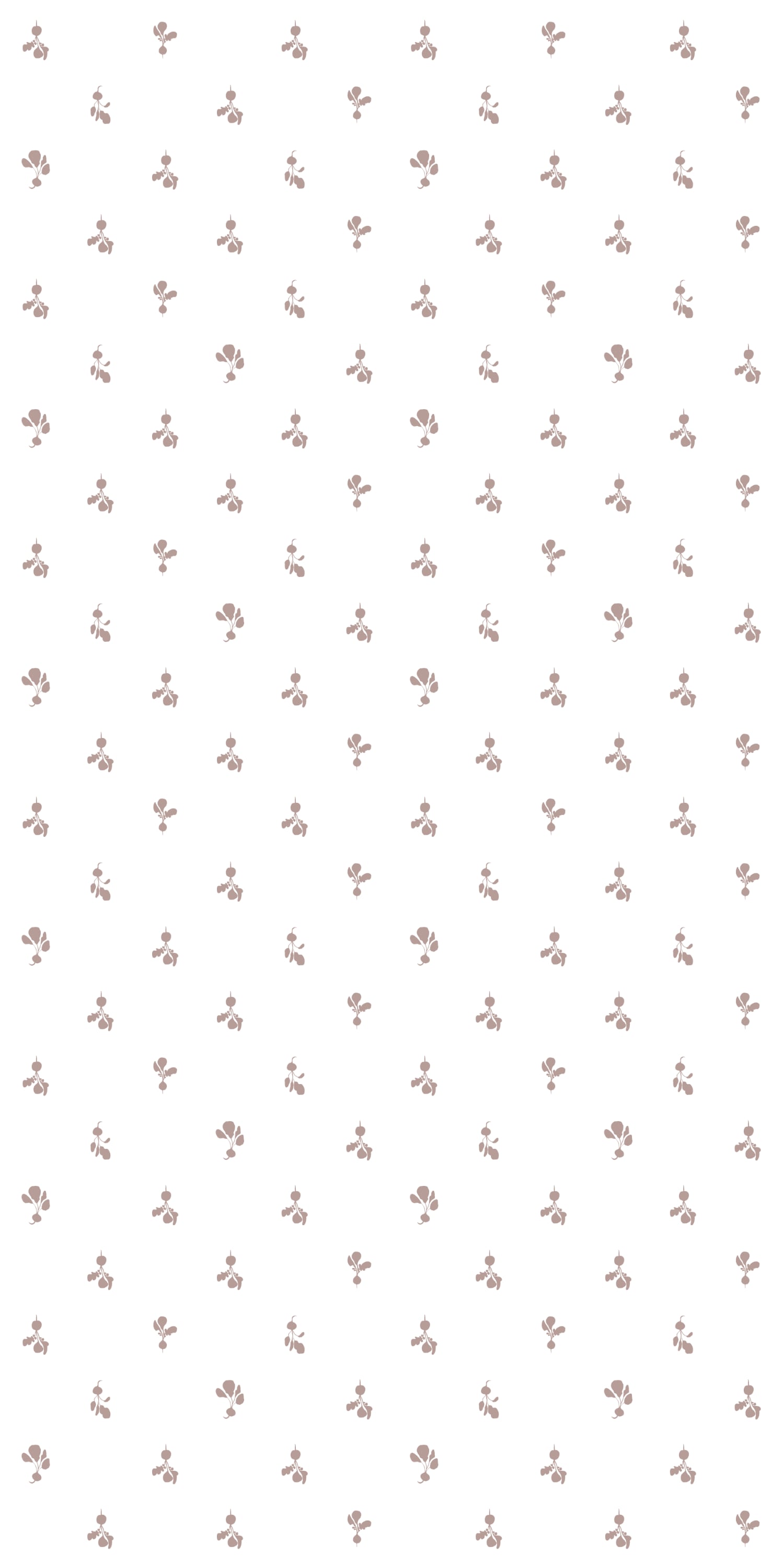 1500x3000 Radish