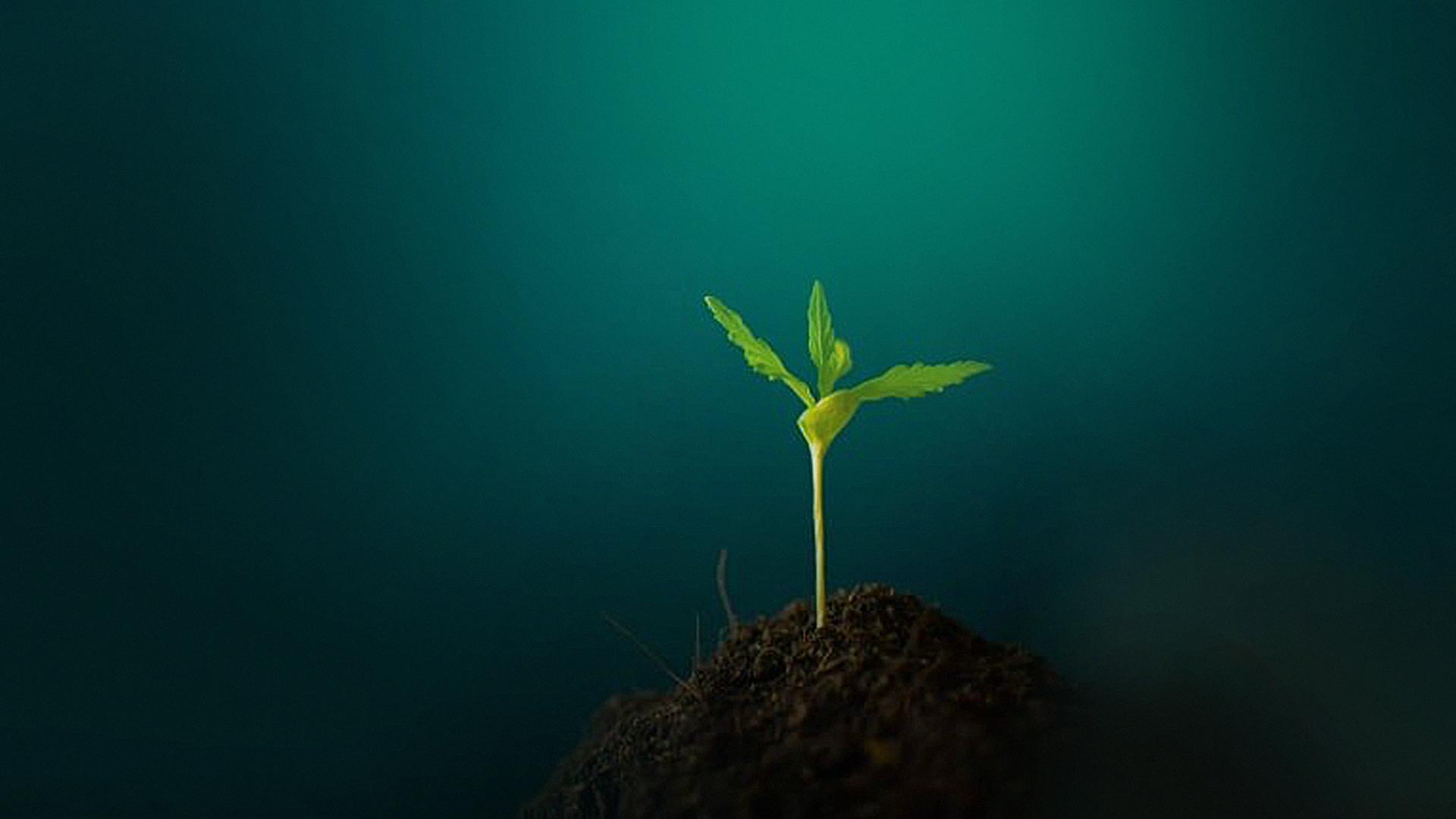1920x1080 Cultivating Company Culture Through A Mission Statement