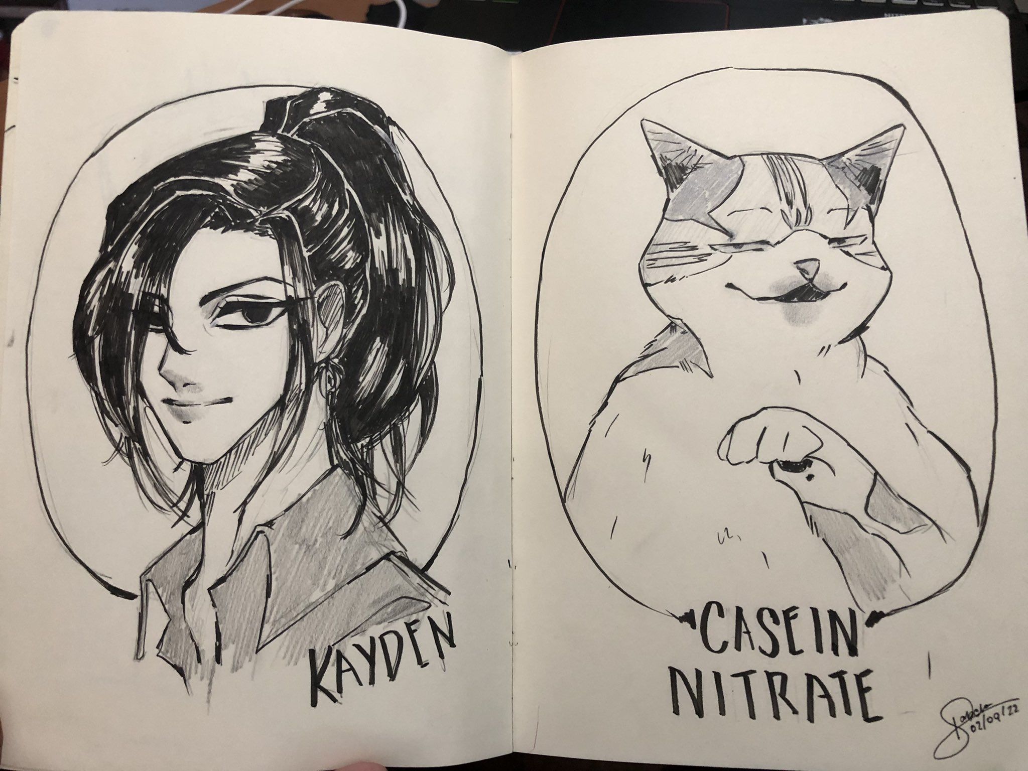 2048x1536 Kayden + a random fat cat = end of the world way i draw in dg art is WAYYY DIFFERENT, im trying my best to make it
