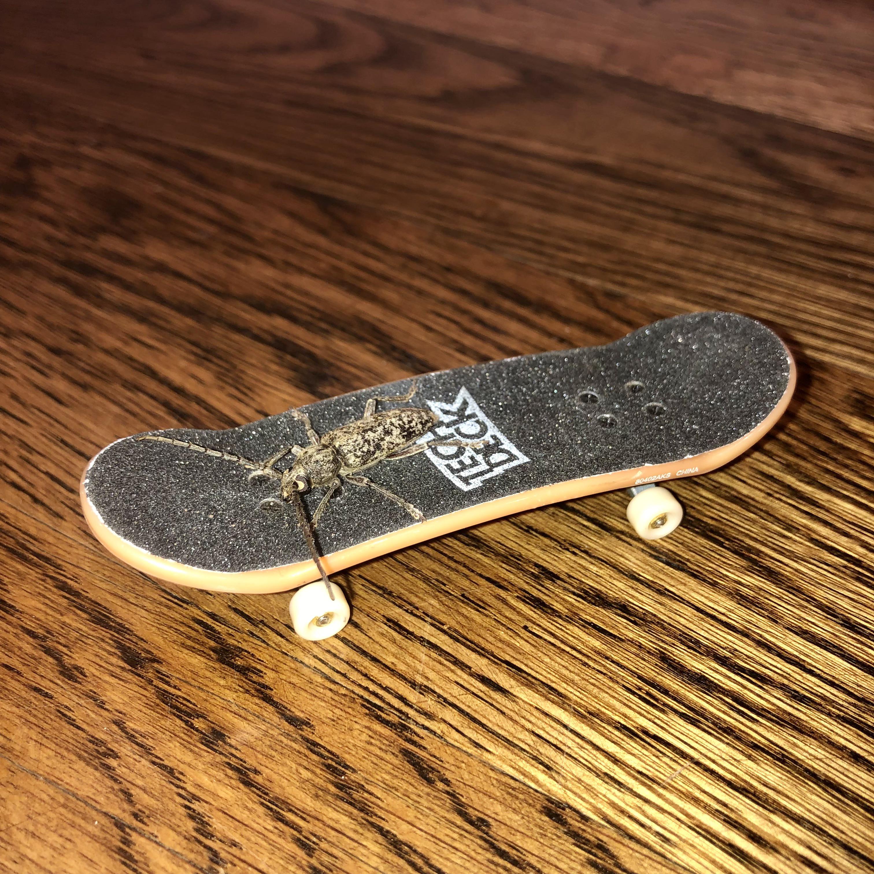 Tech Deck Wallpapers - Top Free Tech Deck Backgrounds - WallpaperAccess