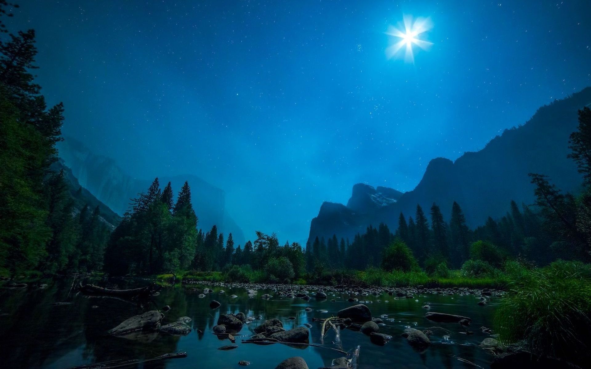 1920x1200 landscape, forest, night, river, moonlight, jungle, Aurora, screenshot, computer Gallery HD Wallpaper