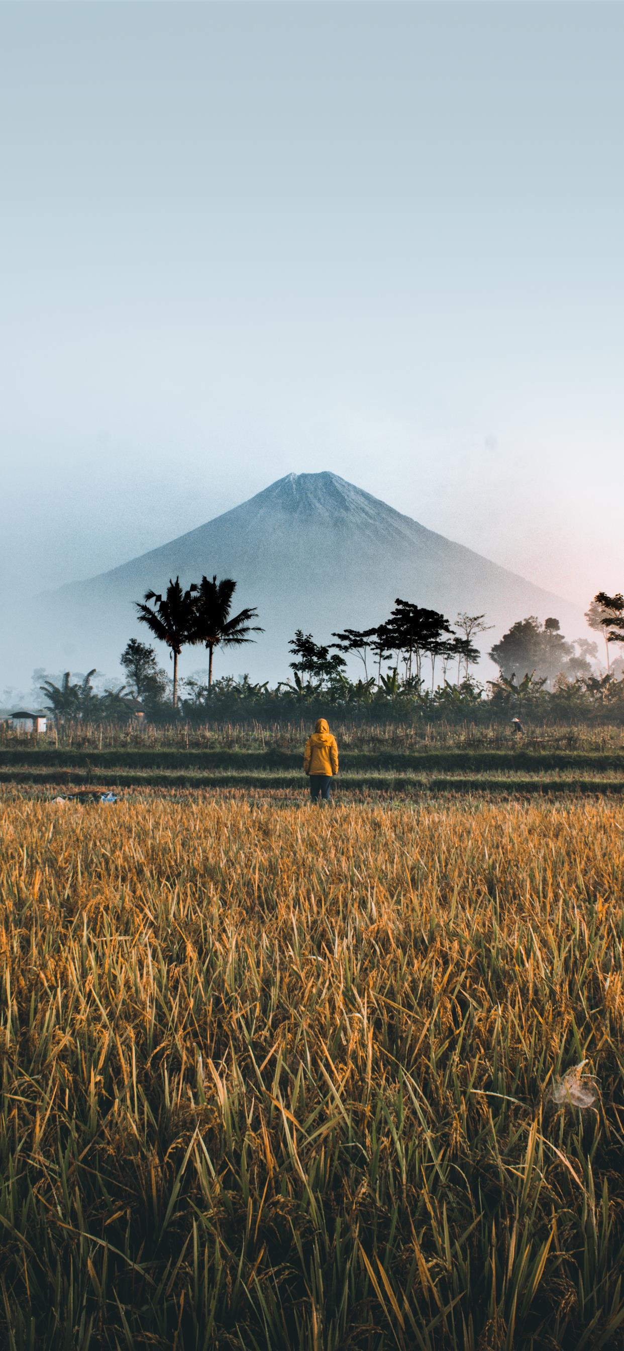 1242x2688 BEAUTIFUL MORNING WITH THE SEMERU MOUNTAIN iPhone X Wallpaper Free Download