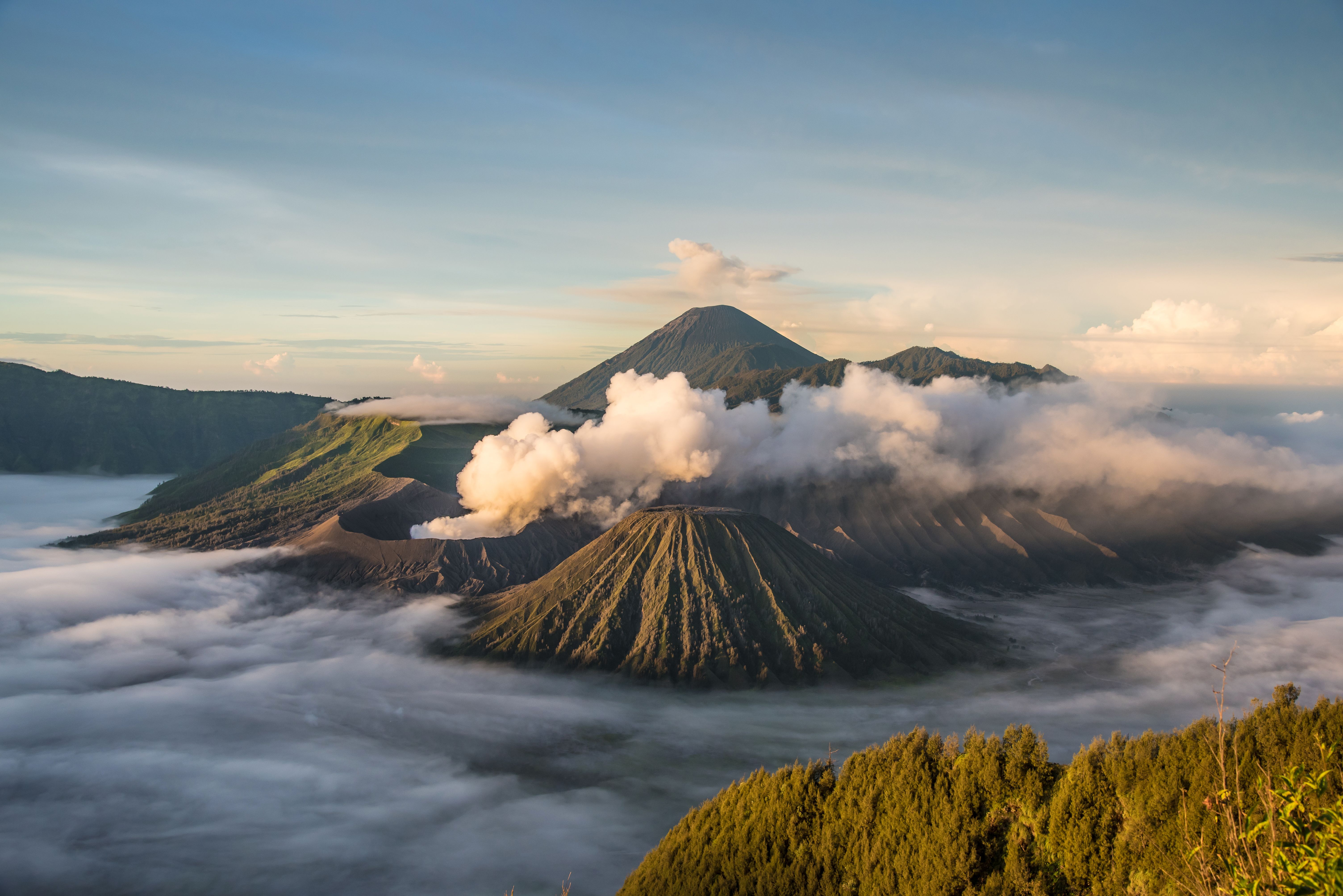6016x4016 The Natural and Human Factors Behind Forest Fires in Bromo Tengger Semeru National Park (bahasa Indonesia). Rainforest Journalism Fund