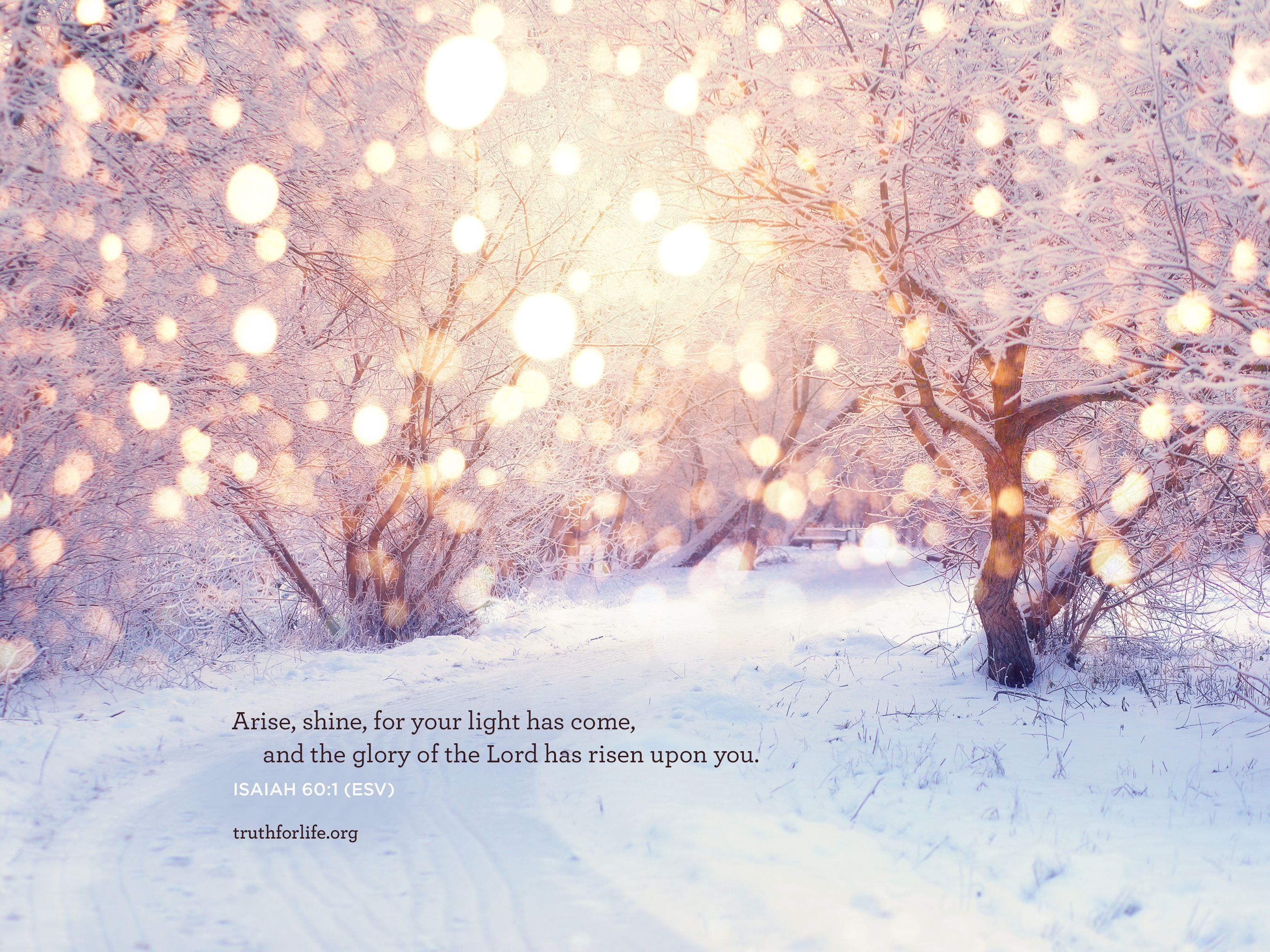 2732x2048 Wallpaper: Your Light has Come