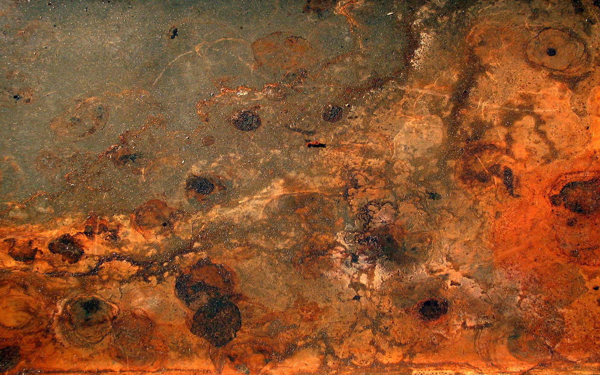 1920x1200 Download wallpaper rusty metal texture, macro, brown metal background, grunge, rusted metal, rusty metal textures, metal plate, metal background, rusty metal plate, rusty metal, metal textures for desktop with resolution 1920x1200. High