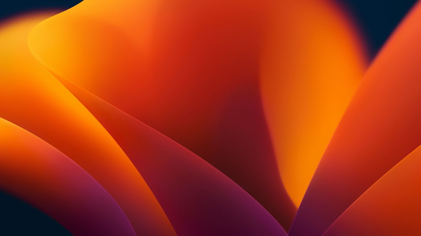 1366x768 Orange flower blossom abstract apple stock wallpaper