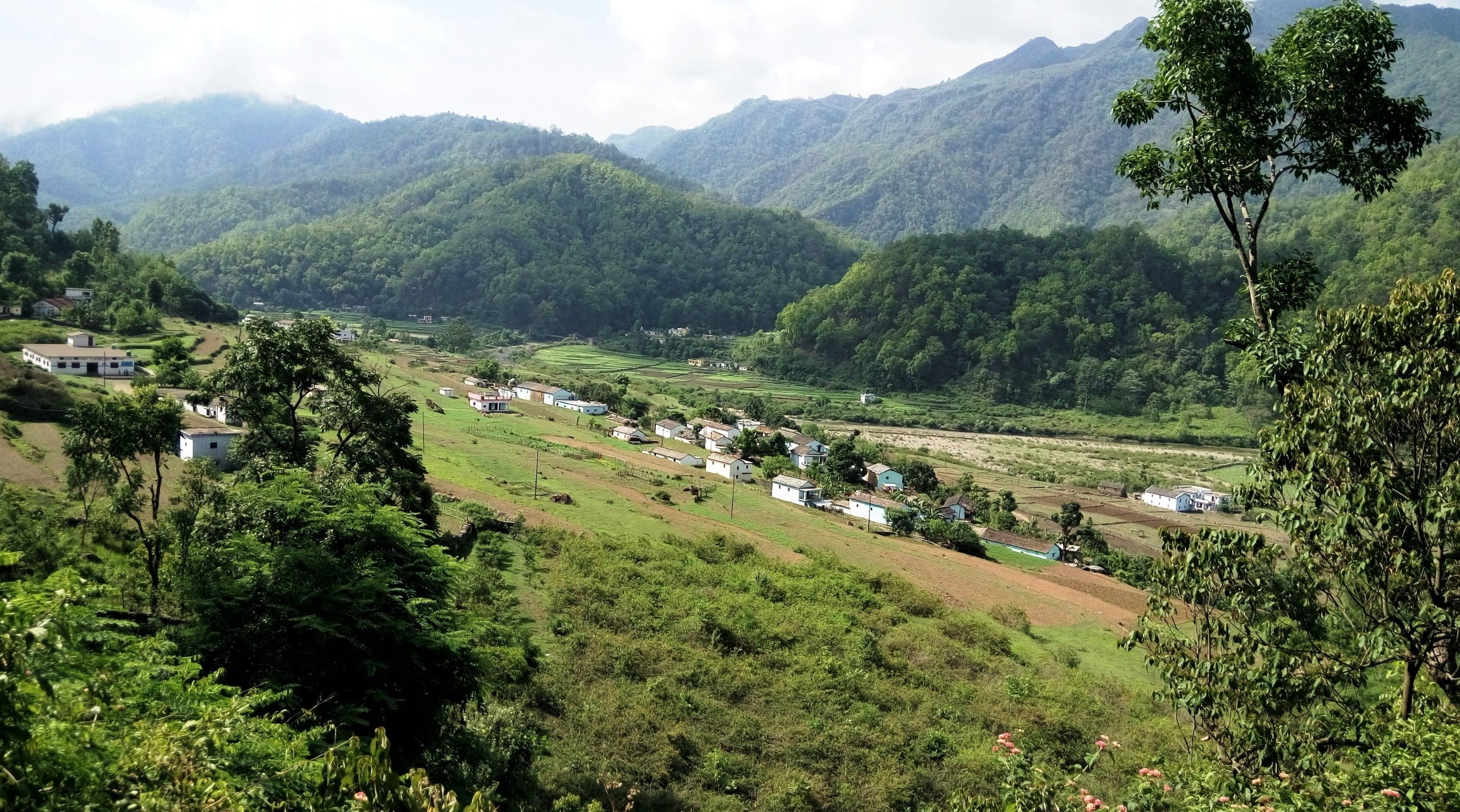 3690x2054 Wallpaper / Growth, Green, Non Urban Scene, Scenic, Tranquil Scene, Mountains, Plantation, Himalayas, Landscape, Green Color, Rural Scene, Tranquility, Outdoors, Agricultural Land Free Download