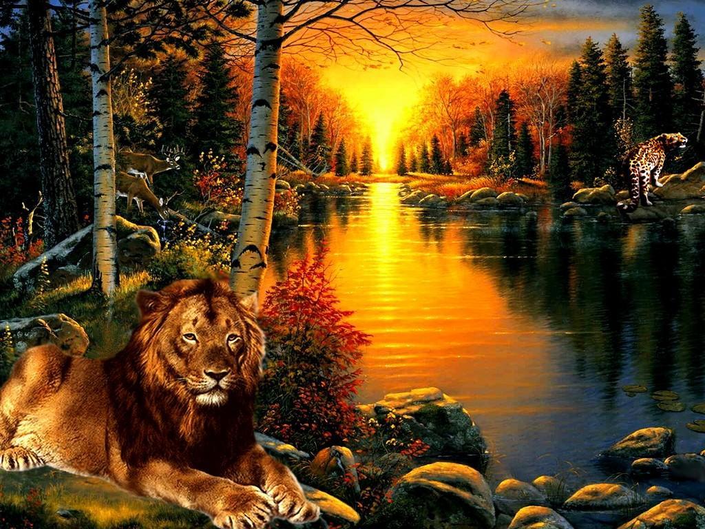 1024x768 Indian Nature Wallpaper Wallpaper Collections