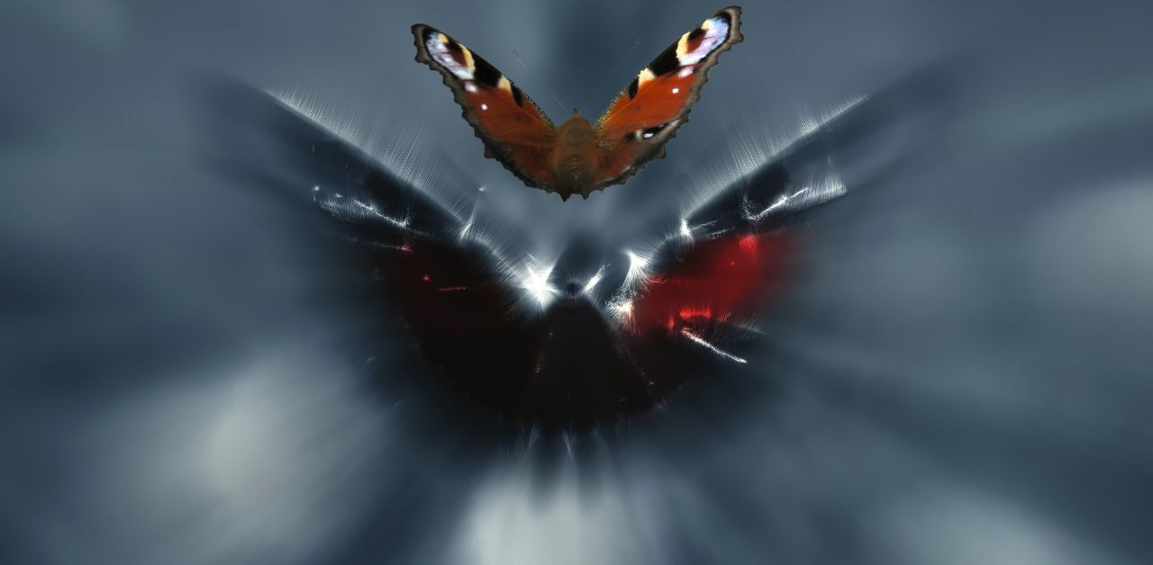 Mothman Wallpapers - Top Free Mothman Backgrounds - WallpaperAccess