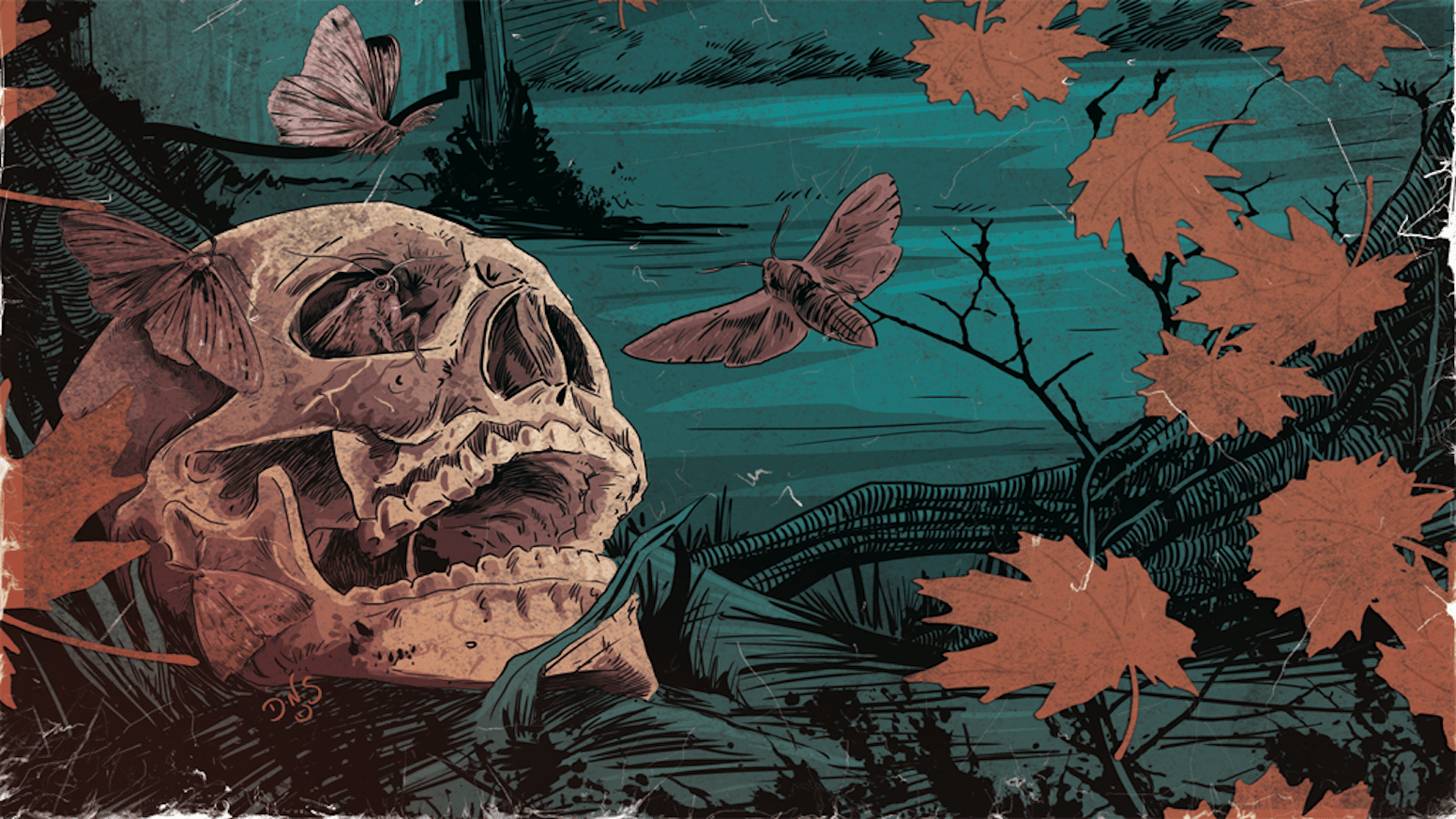 1552x873 