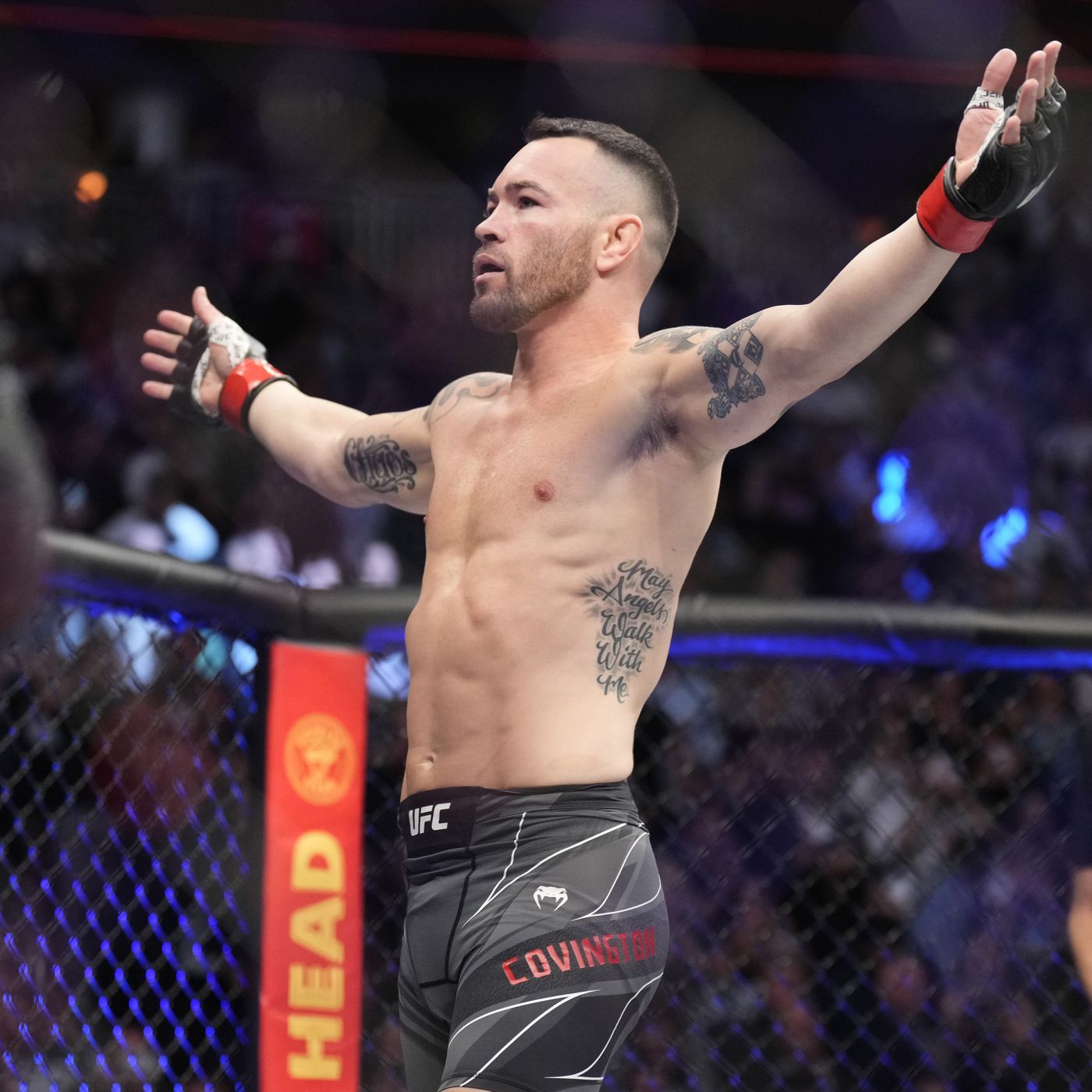 Colby Covington Wallpapers - Top Free Colby Covington Backgrounds ...