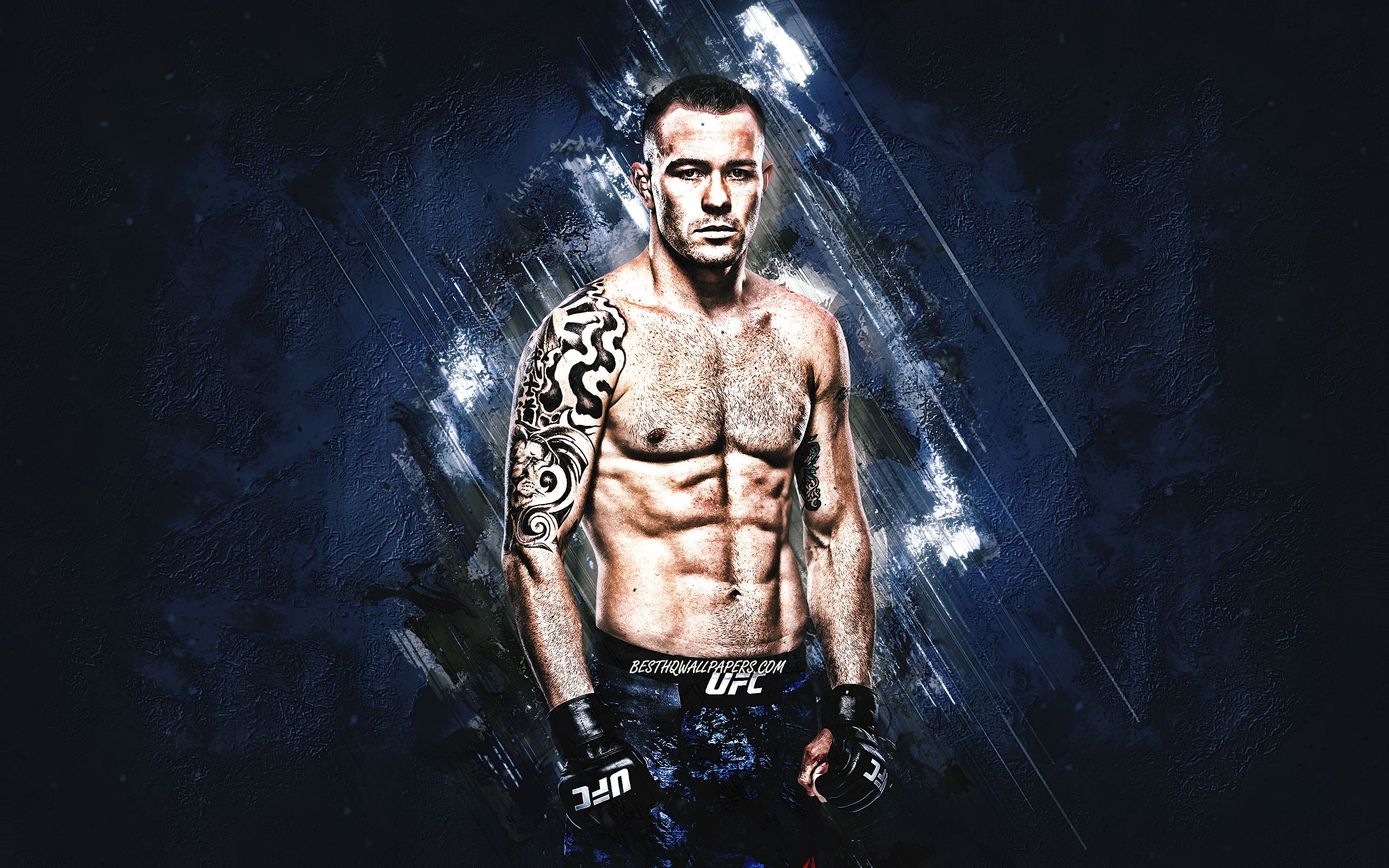 Colby Covington Wallpapers - Top Free Colby Covington Backgrounds