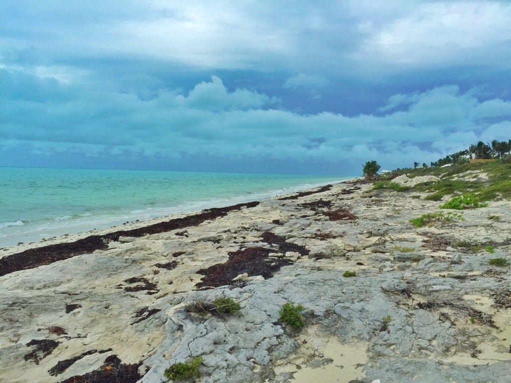 1024x768 Long Bay Beach in Turks and Caicos