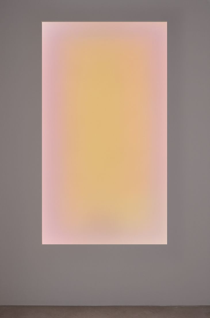 730x1104 