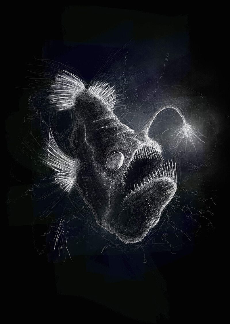 Anglerfish Wallpapers - Top Free Anglerfish Backgrounds - WallpaperAccess