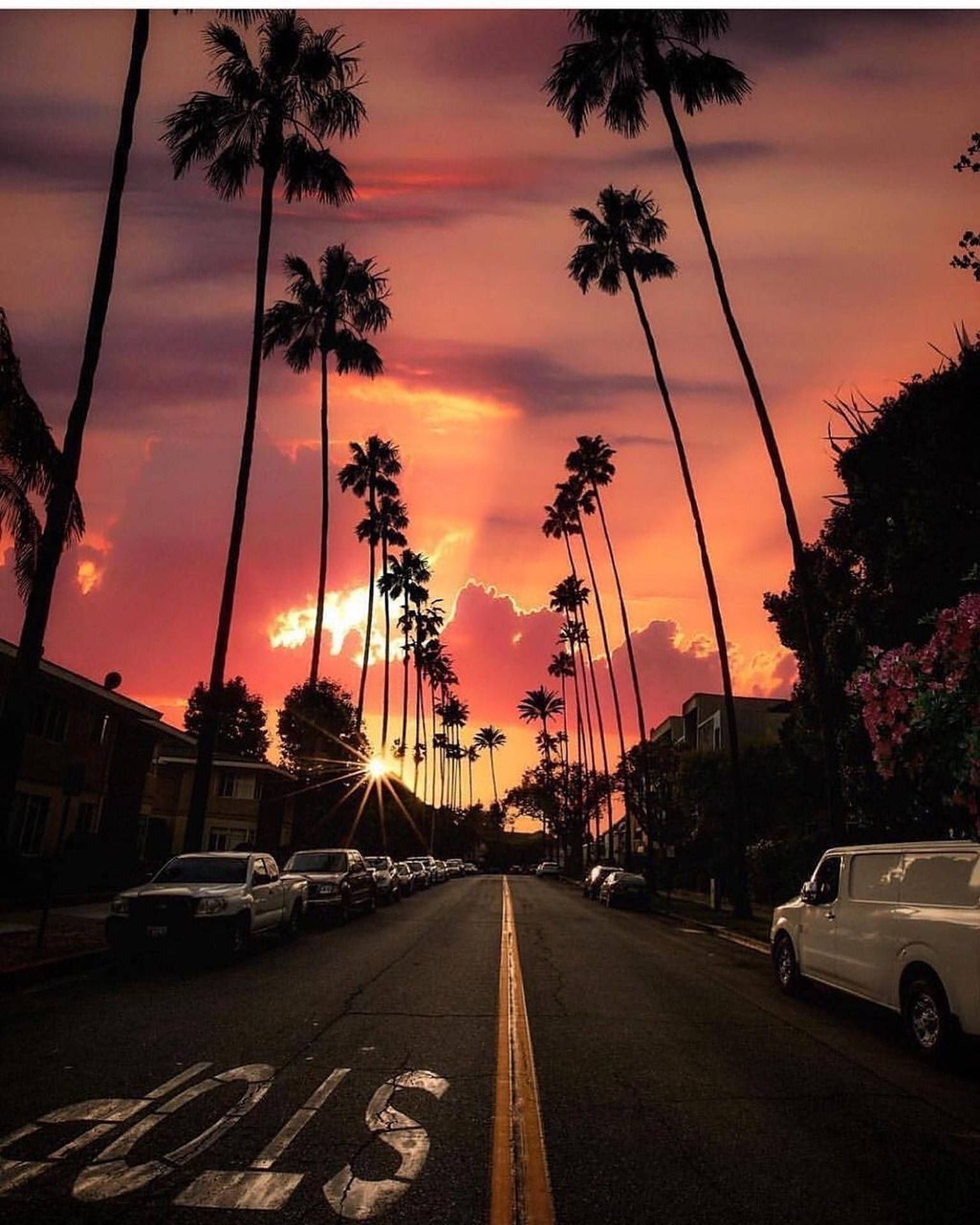 1536x1920 Sunset Boulevard Wallpaper