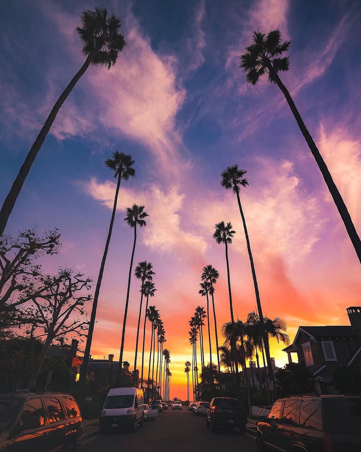 1535x1920 Sunset Boulevard Wallpaper