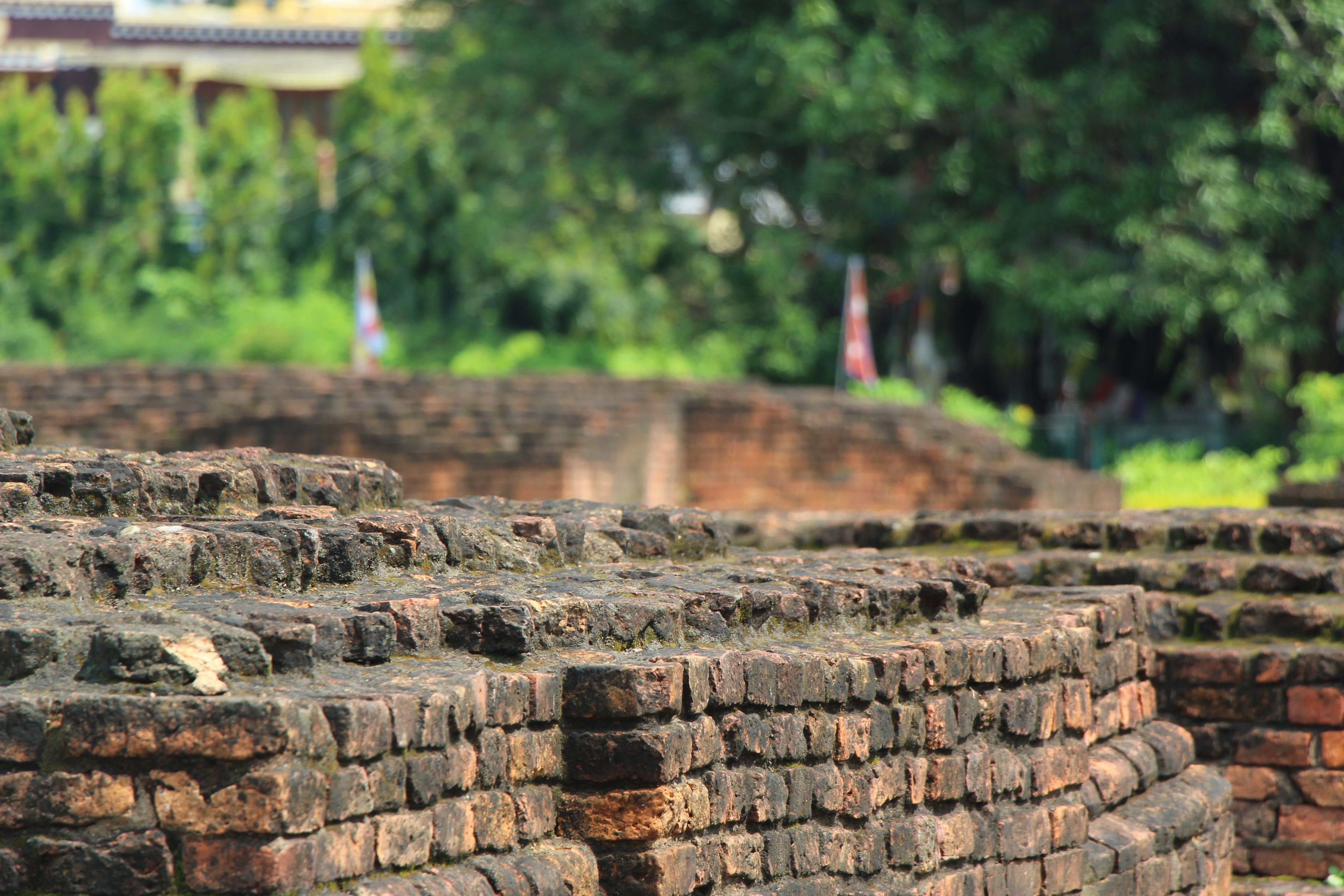 5184x3456 Wallpaper / nepal, no people, building exterior, wall feature, built structure, brick, landmark, plant, buddha, day, nature, history, architecture, focus on foreground free download